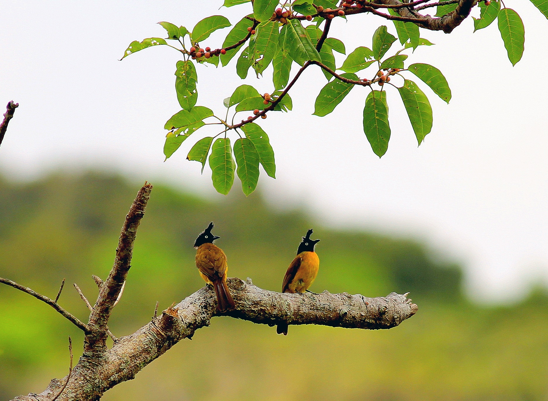 khu du tru sinh quyen the gioi anh 3