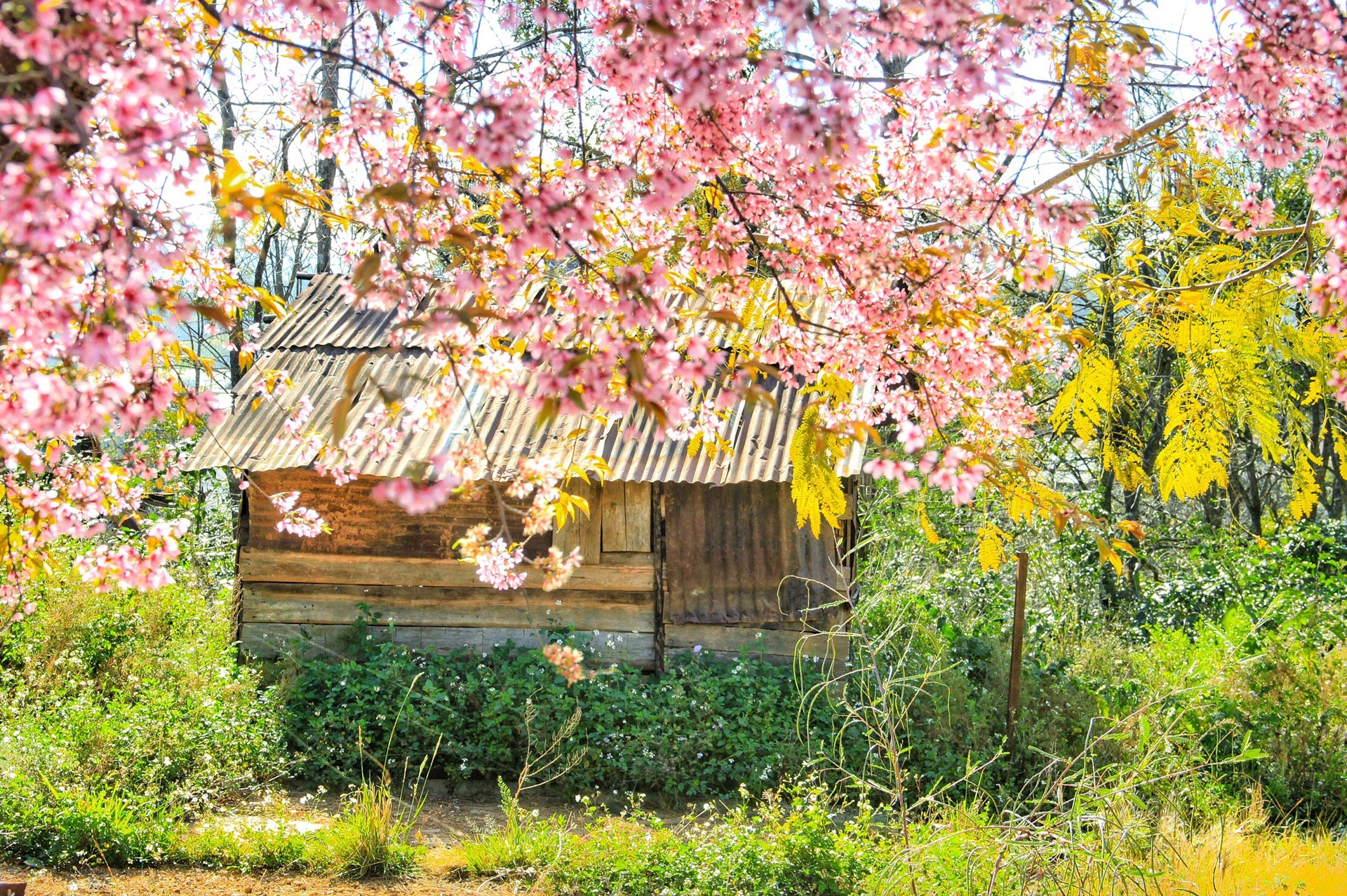 du lich lam dong anh 5