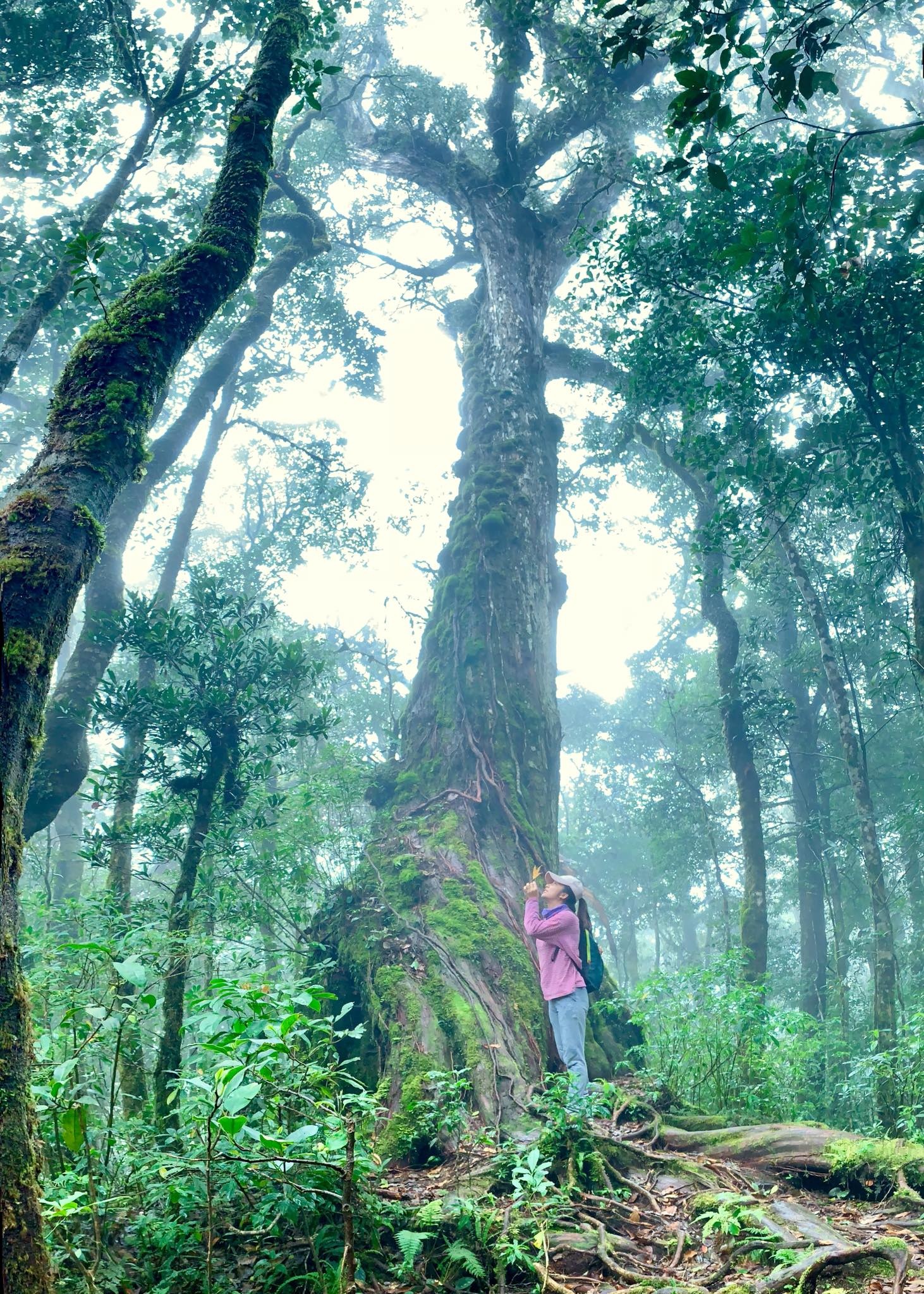 du lich lam dong anh 1