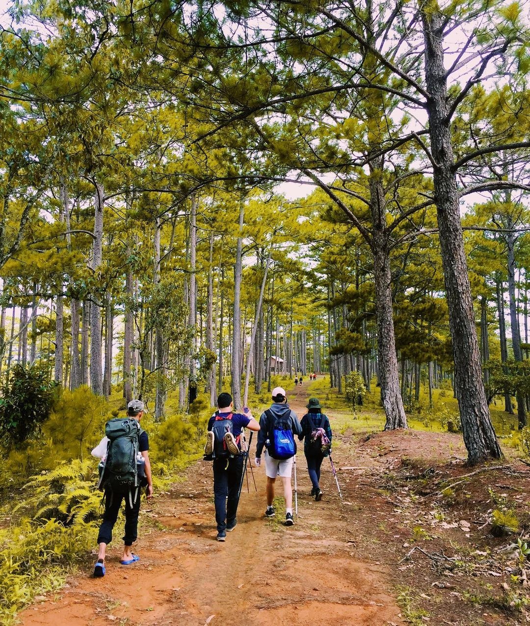 du lich lam dong anh 7