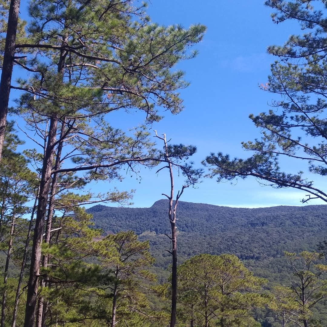 du lich lam dong anh 2