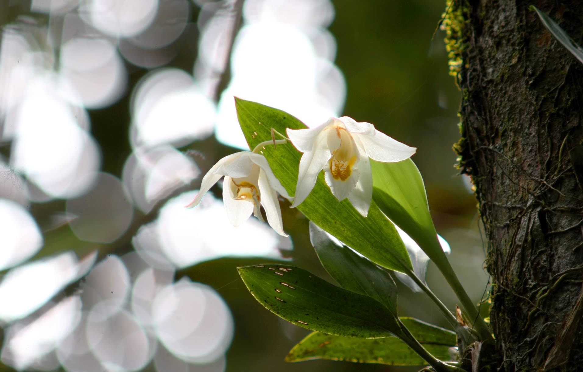 du lich lam dong anh 4