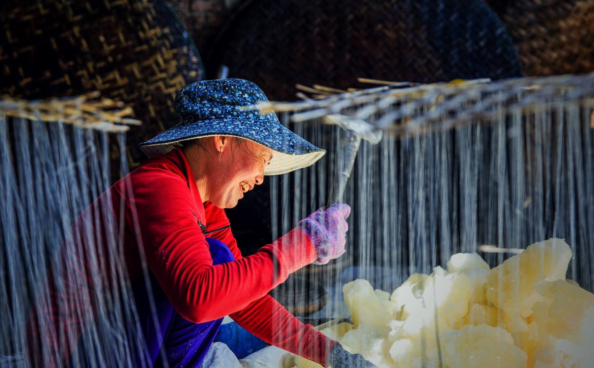 cac loai duong anh 4