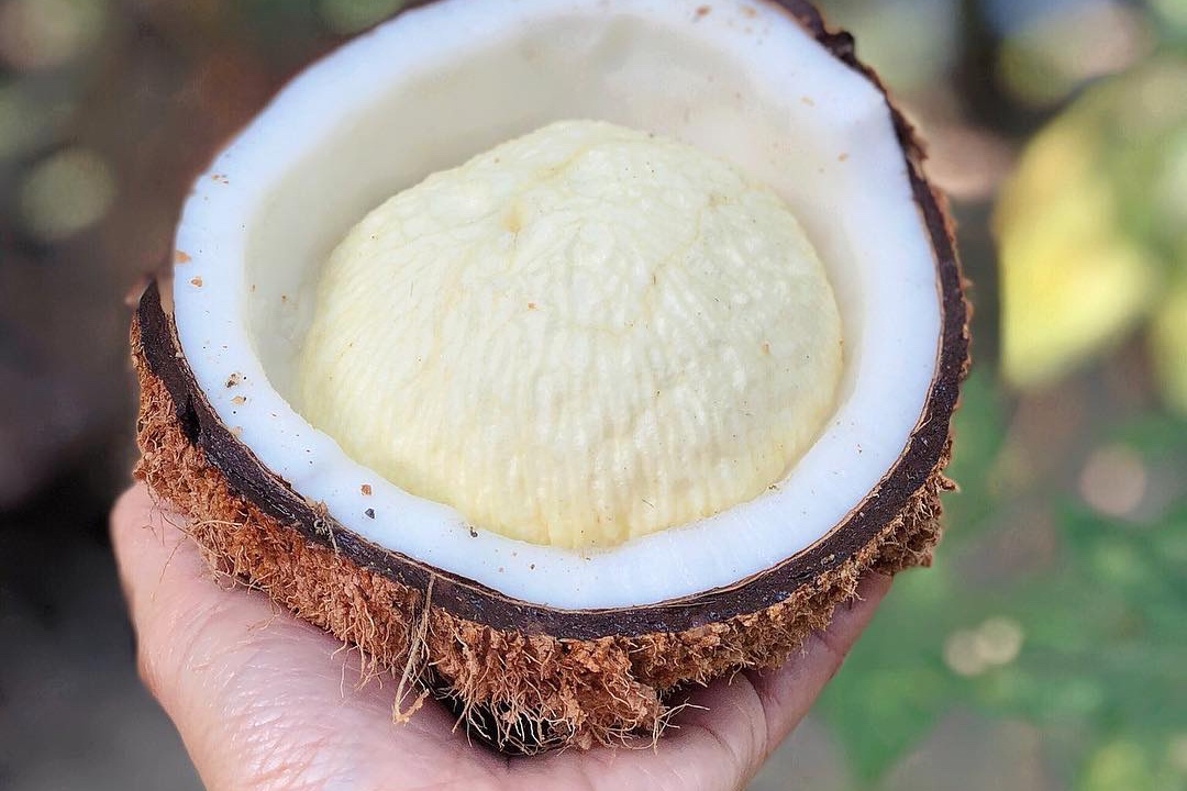 Mong dua la gi? hinh anh