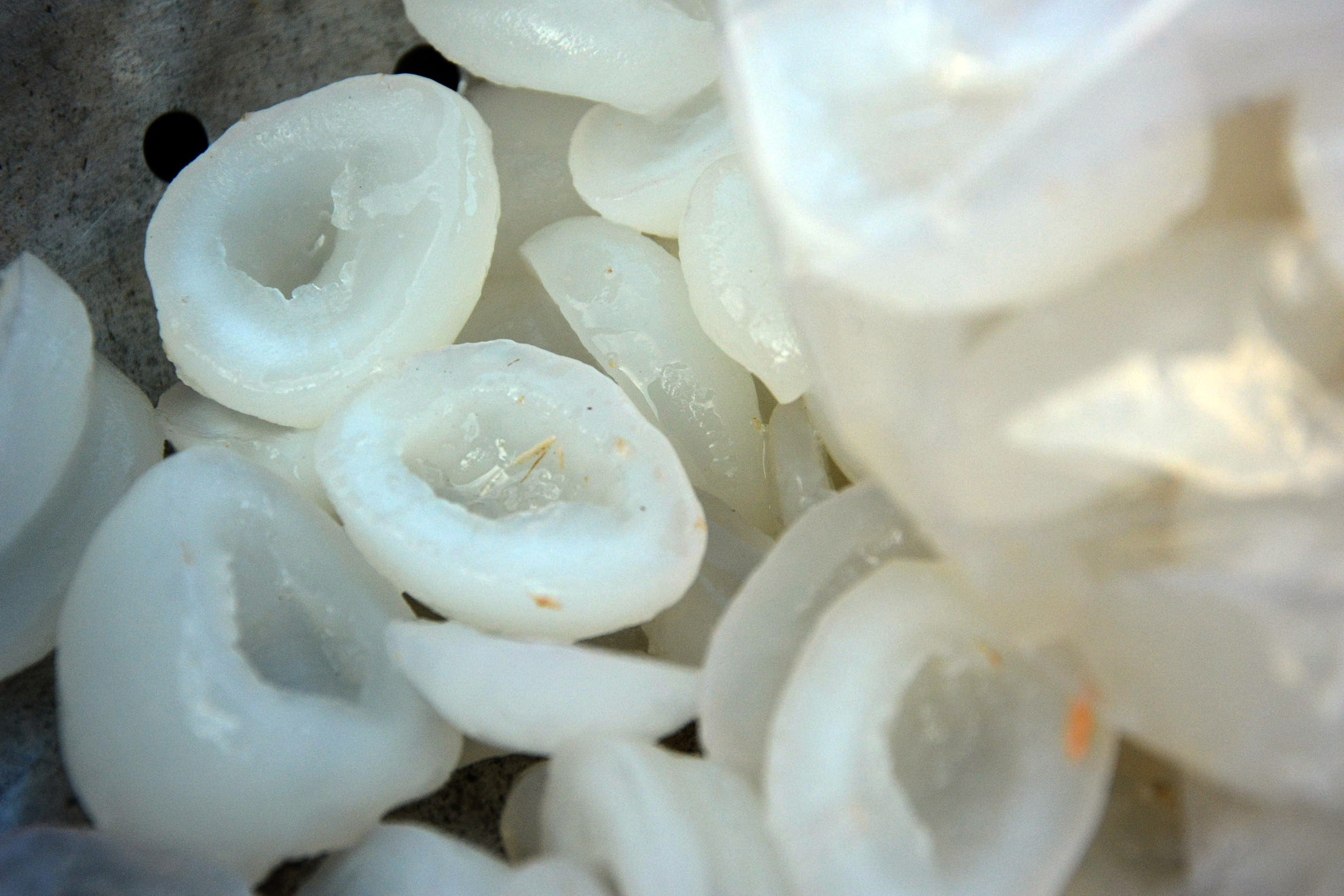 dac san can gio anh 6