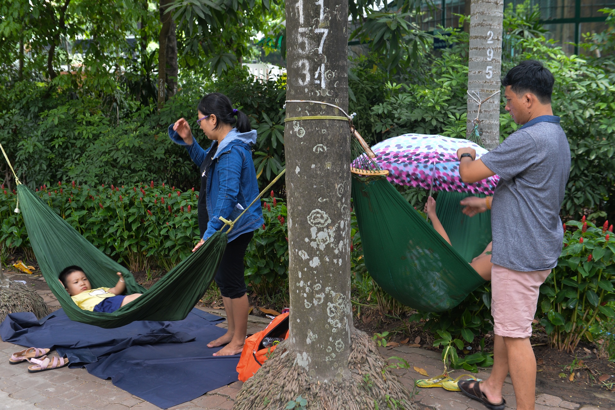 Nguoi di choi le vut rac day cong vien Thu Le anh 7
