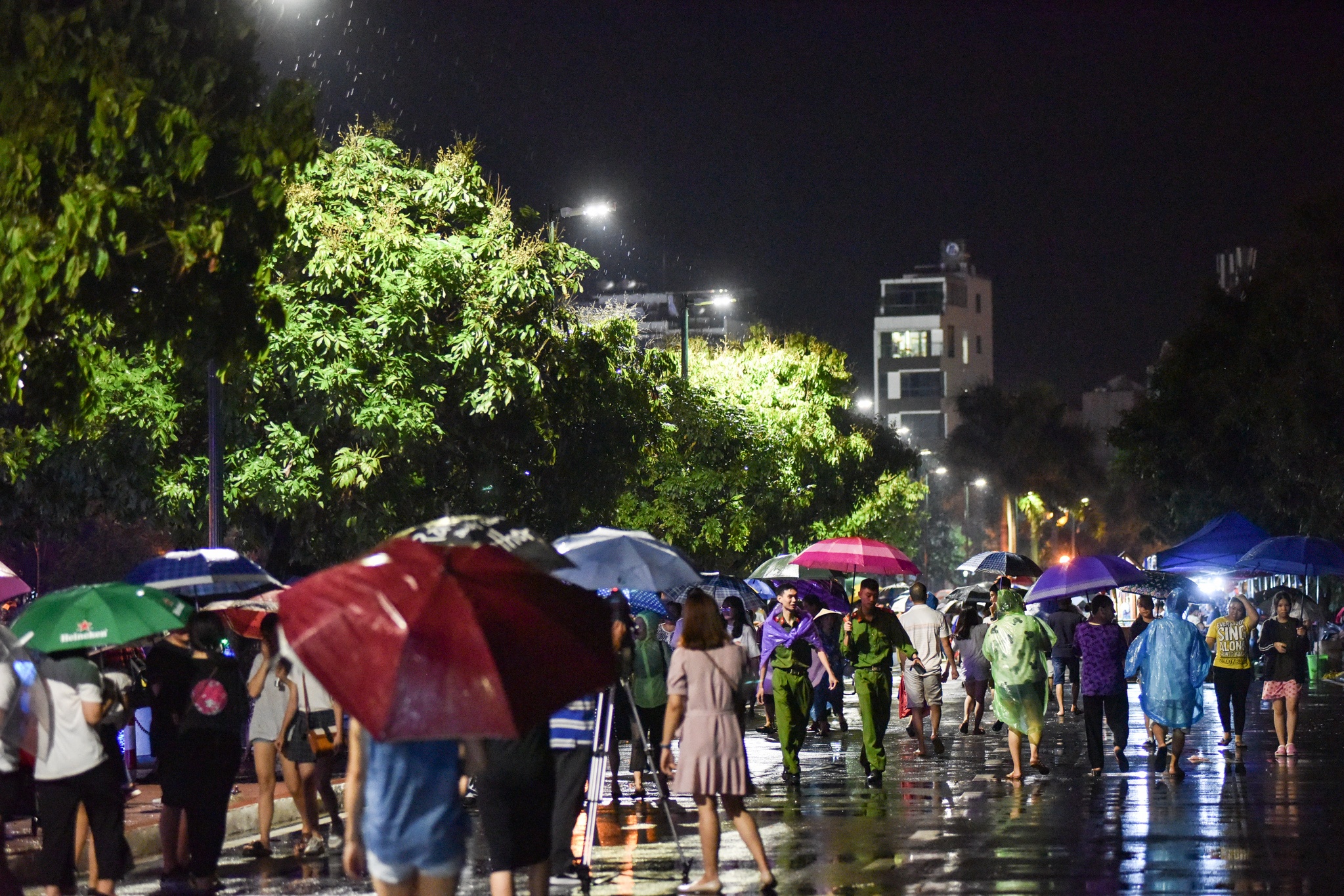 pho di bo Trinh Cong Son anh 2