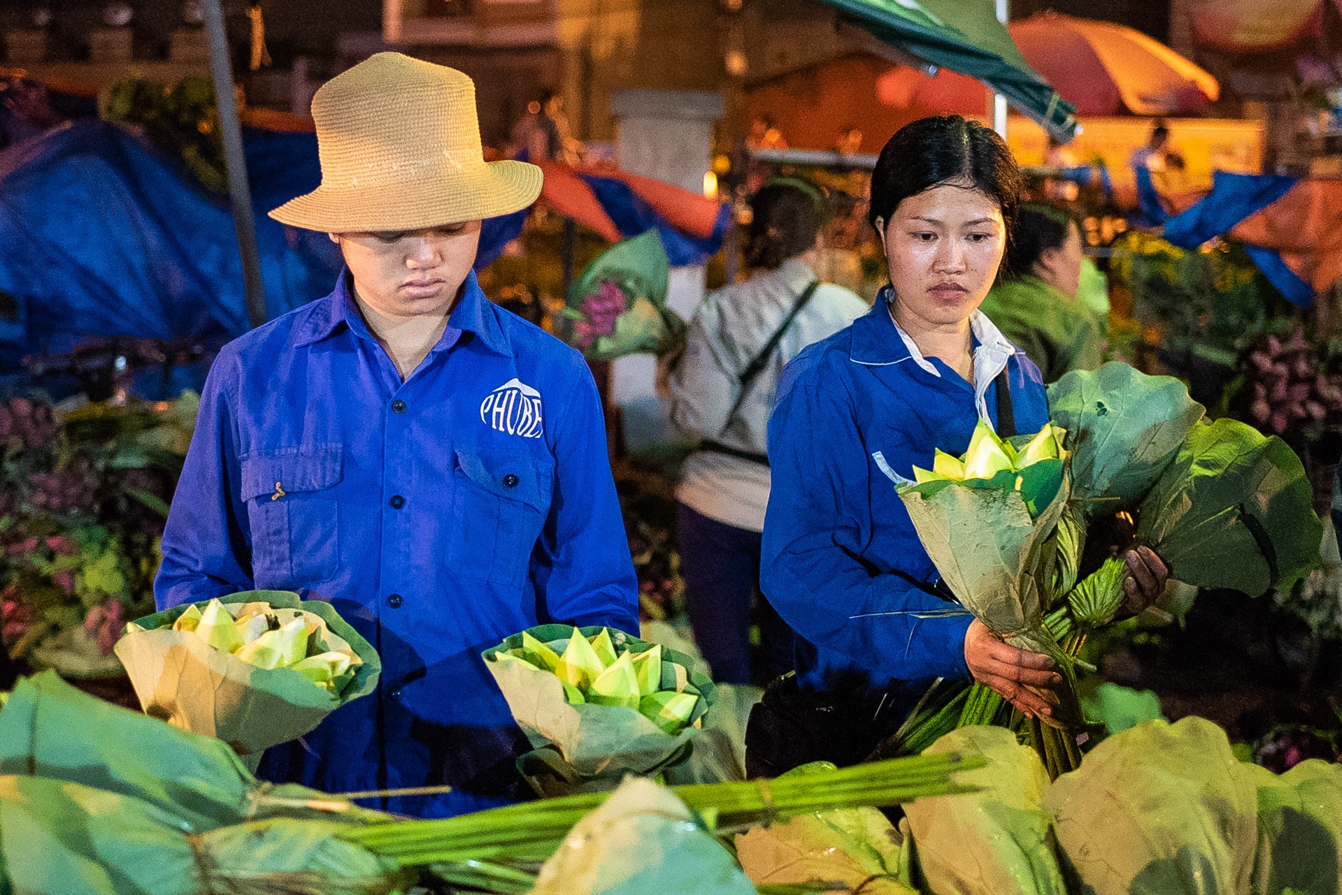 cho hoa Quang Ba,  hoa sen,  quoc hoa anh 7