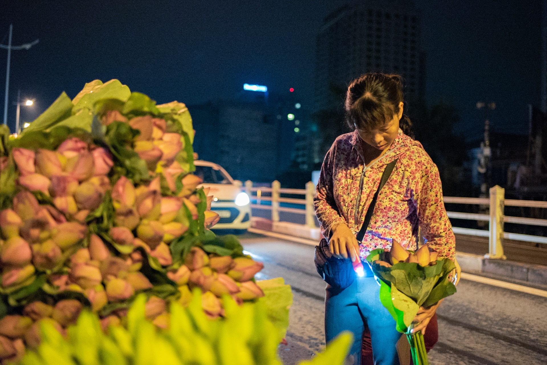 cho hoa Quang Ba,  hoa sen,  quoc hoa anh 10