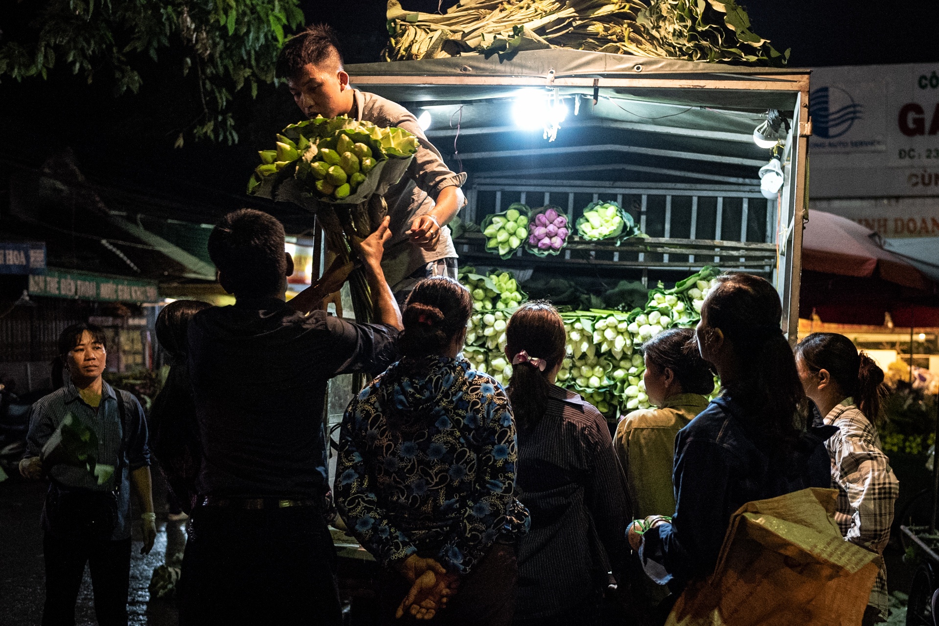 cho hoa Quang Ba,  hoa sen,  quoc hoa anh 5