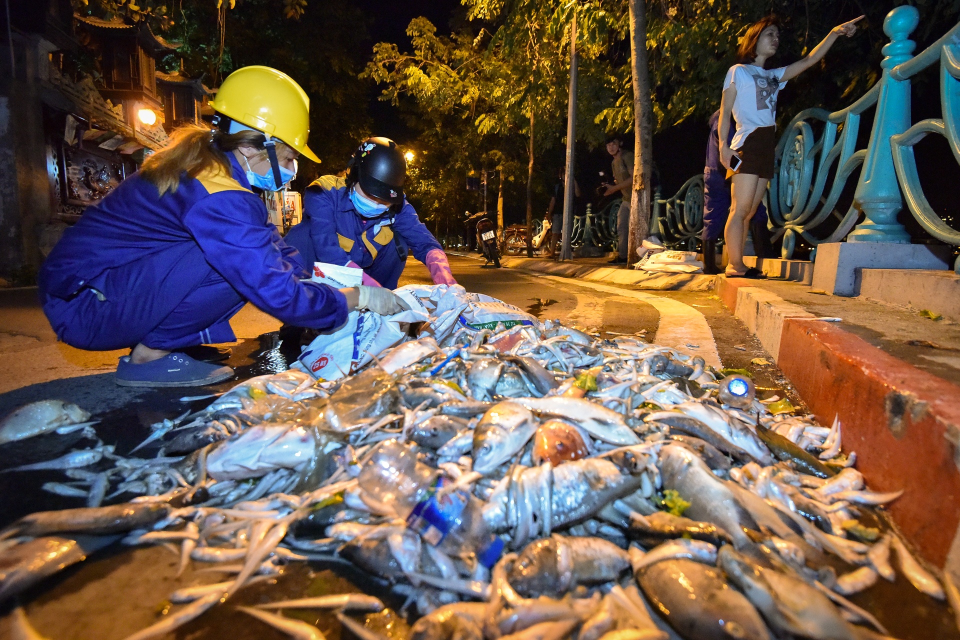 Hang tram cong nhan thuc trang dem vot xac ca ho Tay hinh anh