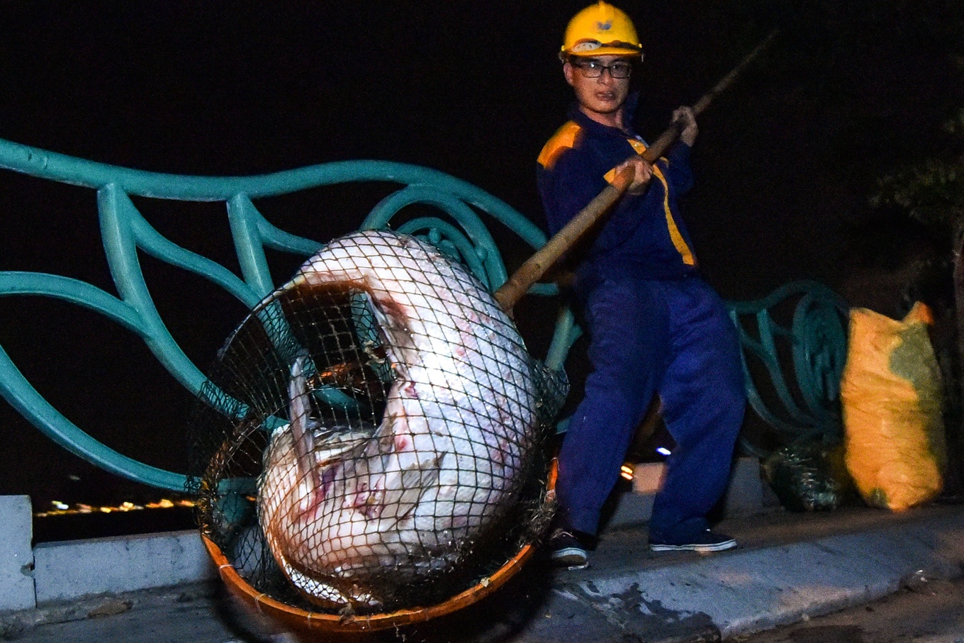 Hang tram cong nhan trang dem vot xac ca ho Tay hinh anh