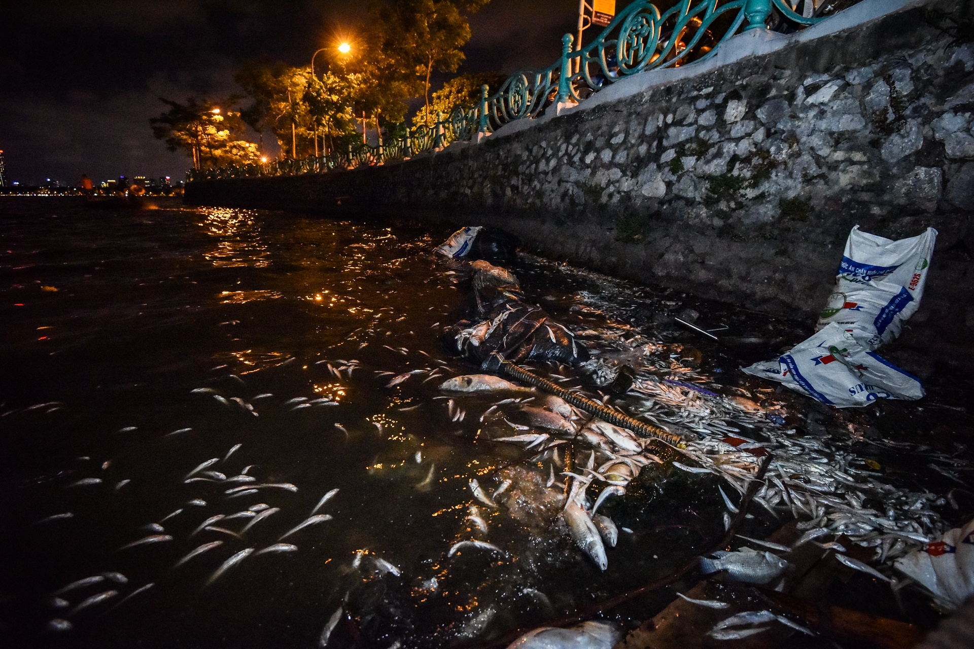 Ca chet ho Tay anh 2