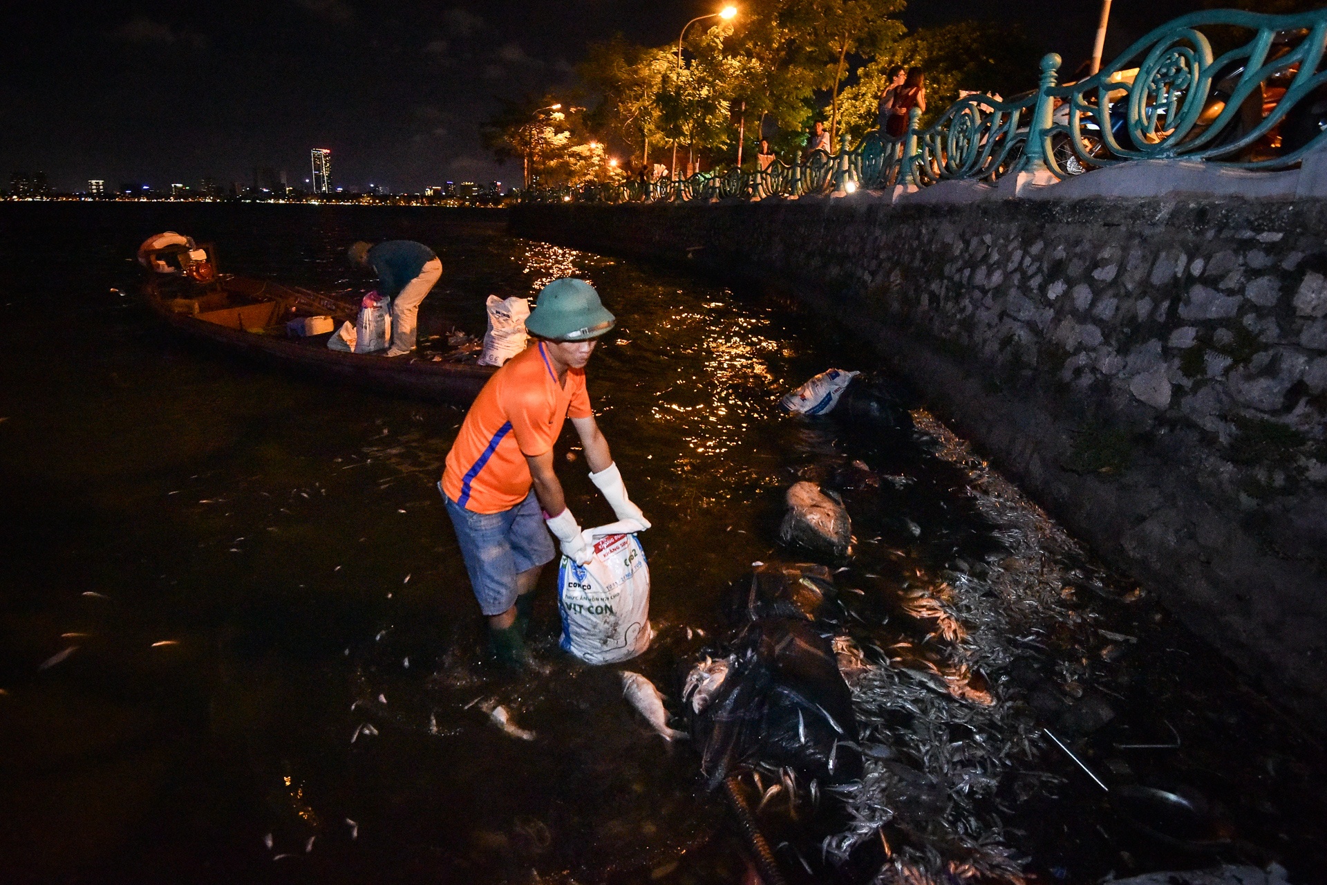 Ca chet ho Tay anh 6