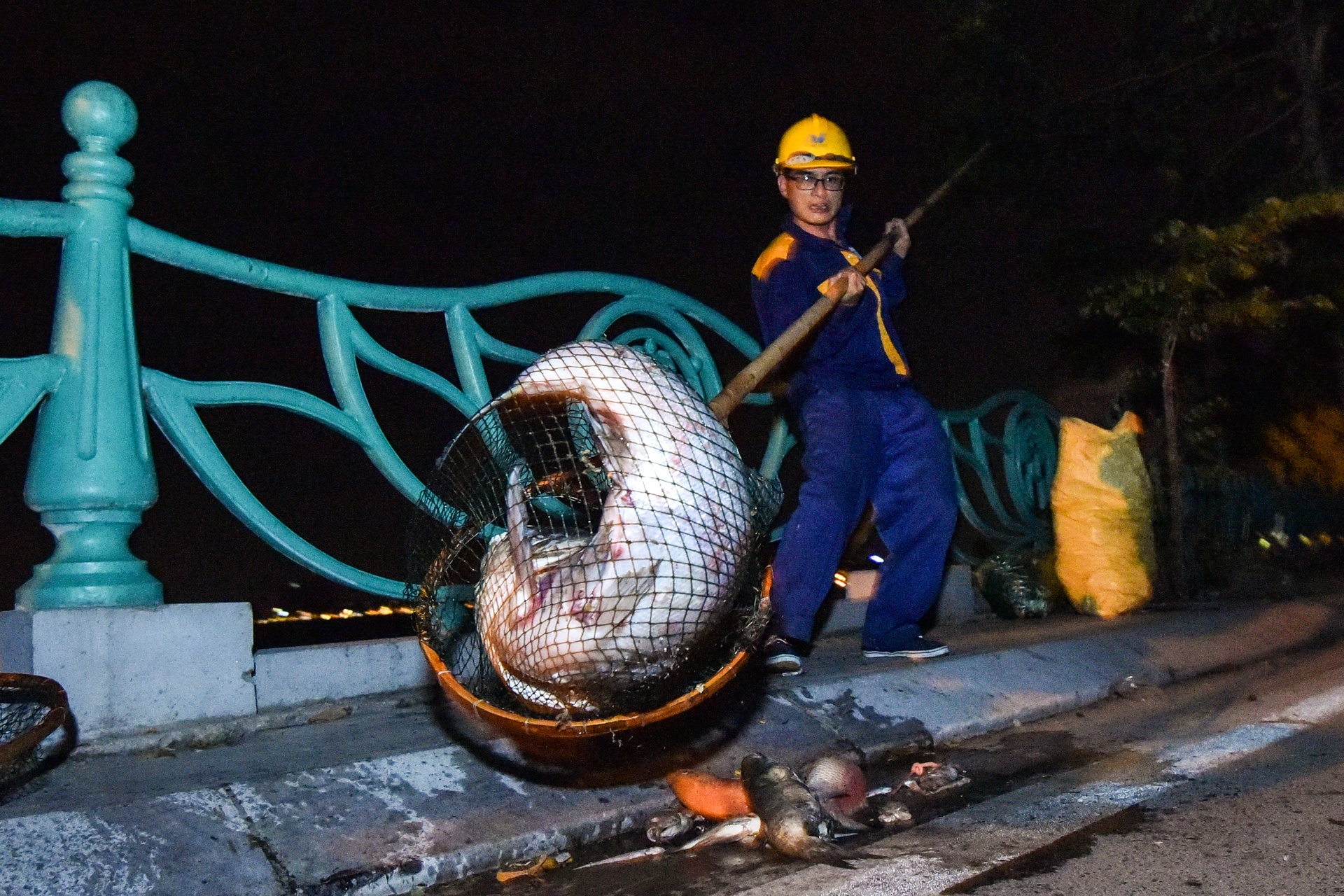 Ca chet ho Tay anh 8