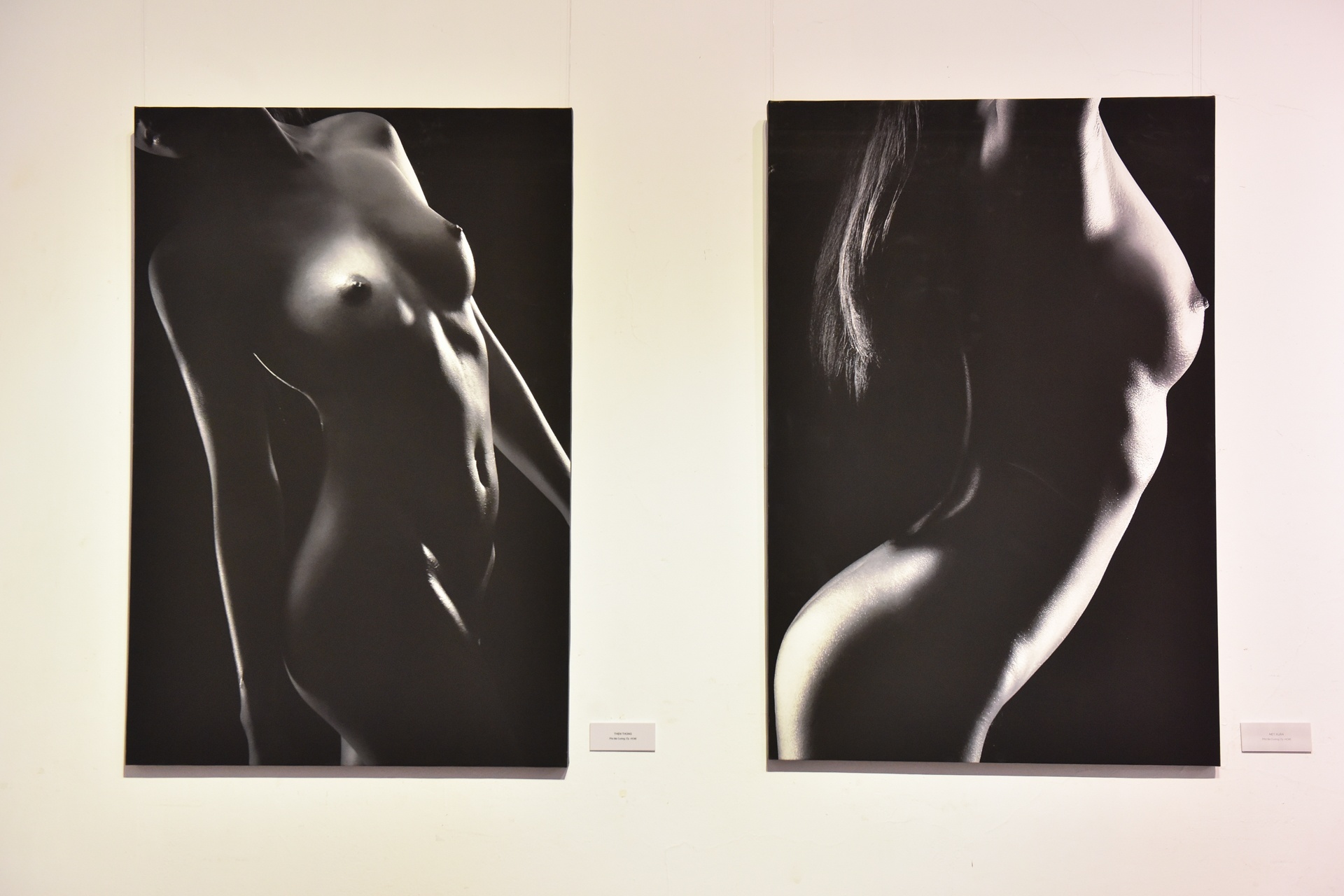 tac pham trien lam nude nghe thuat anh 10