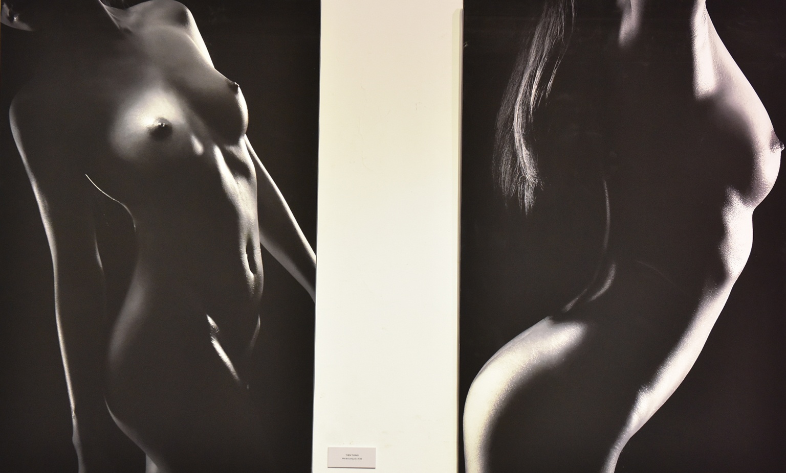 10 tac pham cua cac tac gia tai trien lam anh nude dau tien o Ha Noi hinh anh