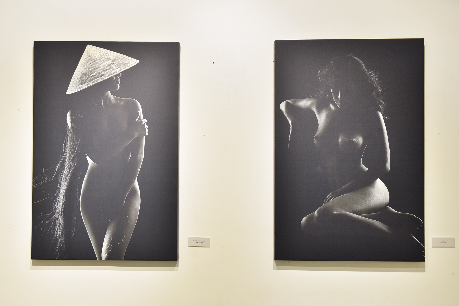 tac pham trien lam nude nghe thuat anh 4