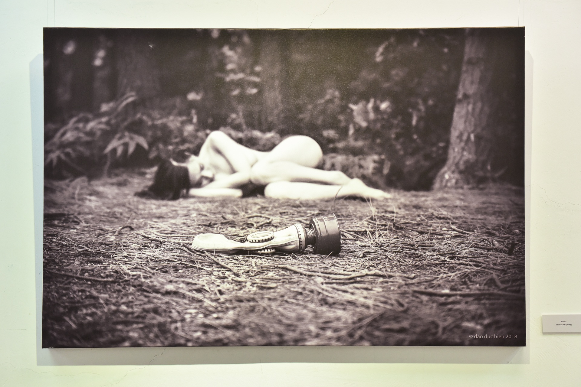 tac pham trien lam nude nghe thuat anh 6