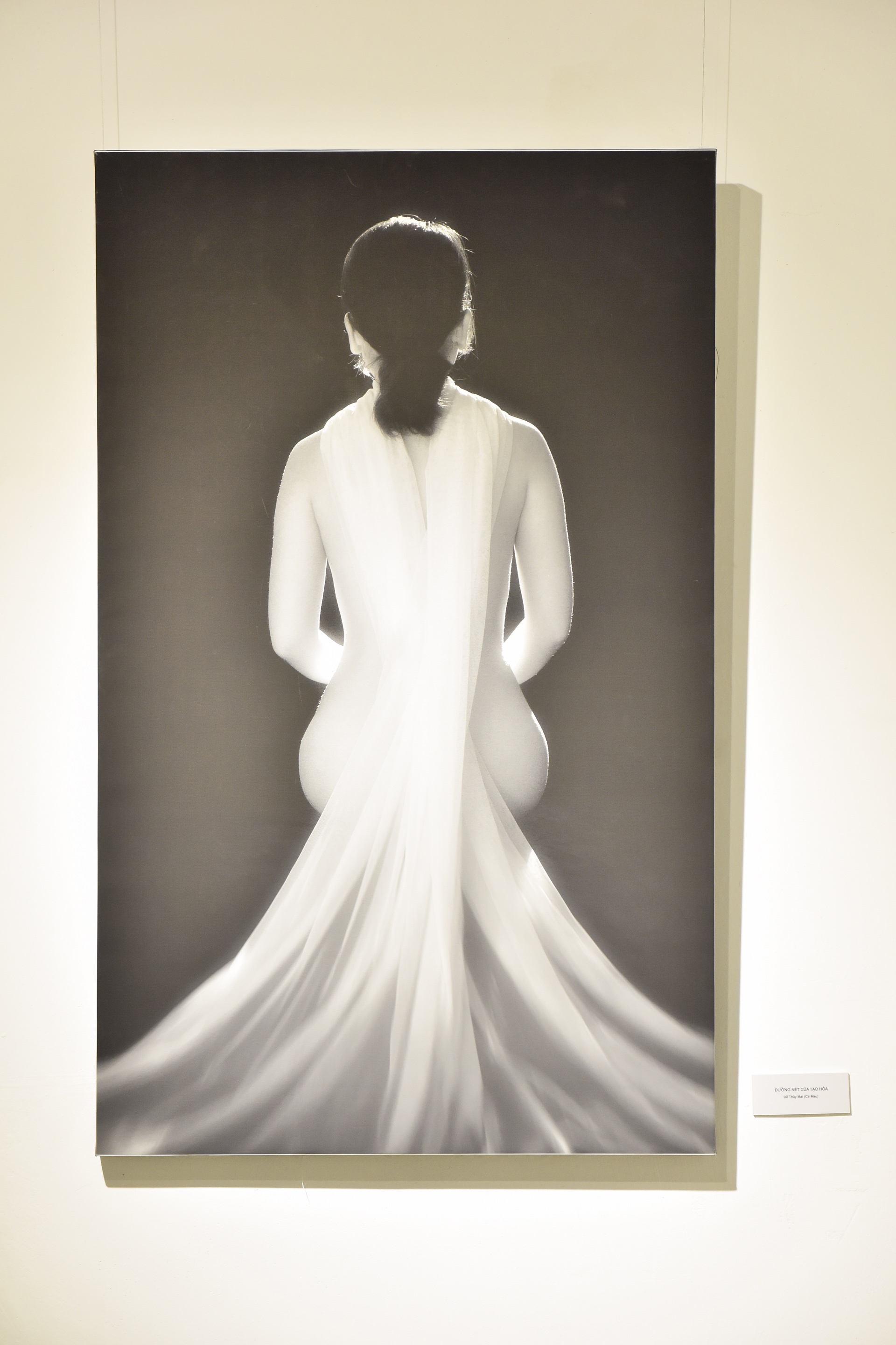 tac pham trien lam nude nghe thuat anh 7