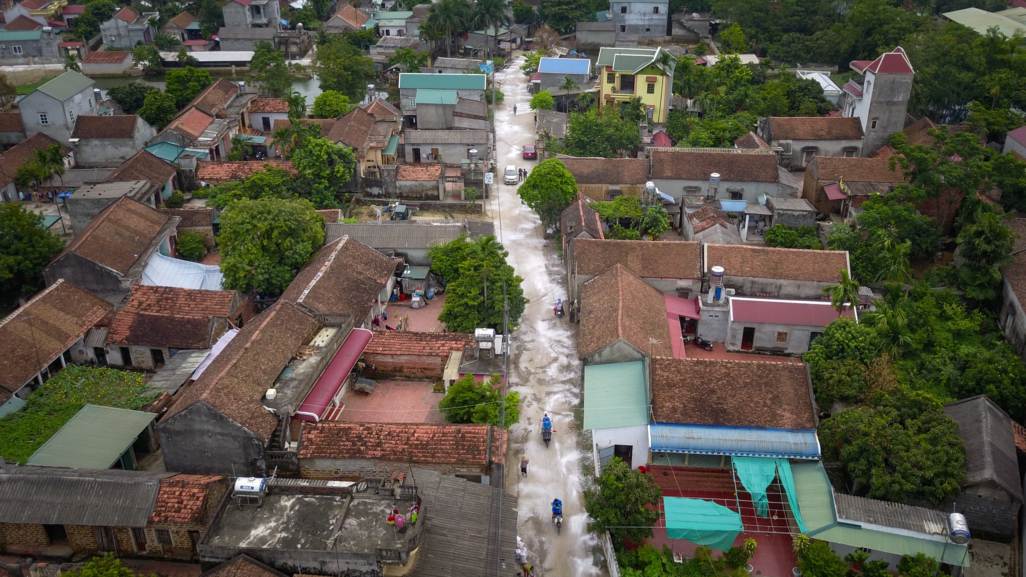 rac voi bot xa Nam Phuong Tien anh 5