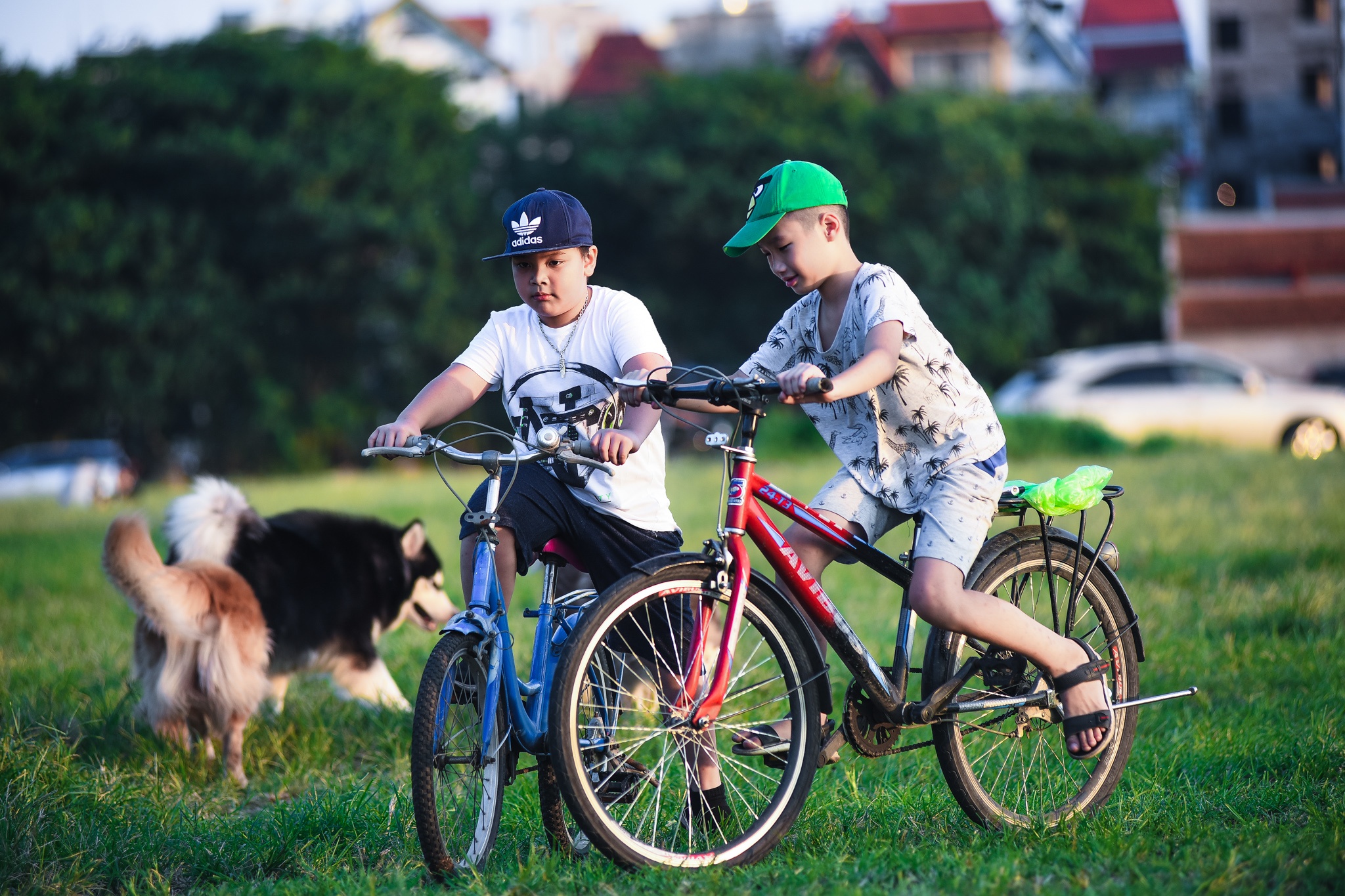 Mùa thu Hà Nội ảnh 6 Mua thu Ha Noi anh 6