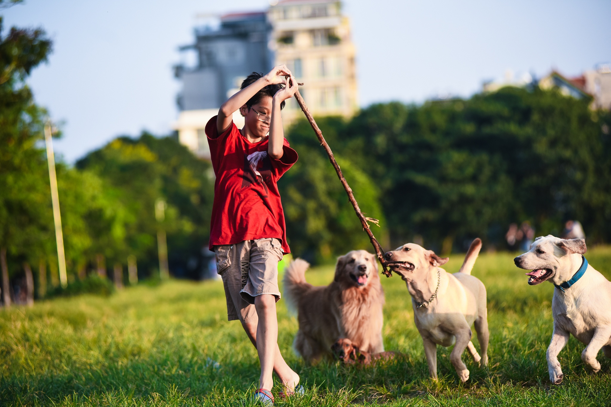 Mùa thu Hà Nội ảnh 8 Mua thu Ha Noi anh 8