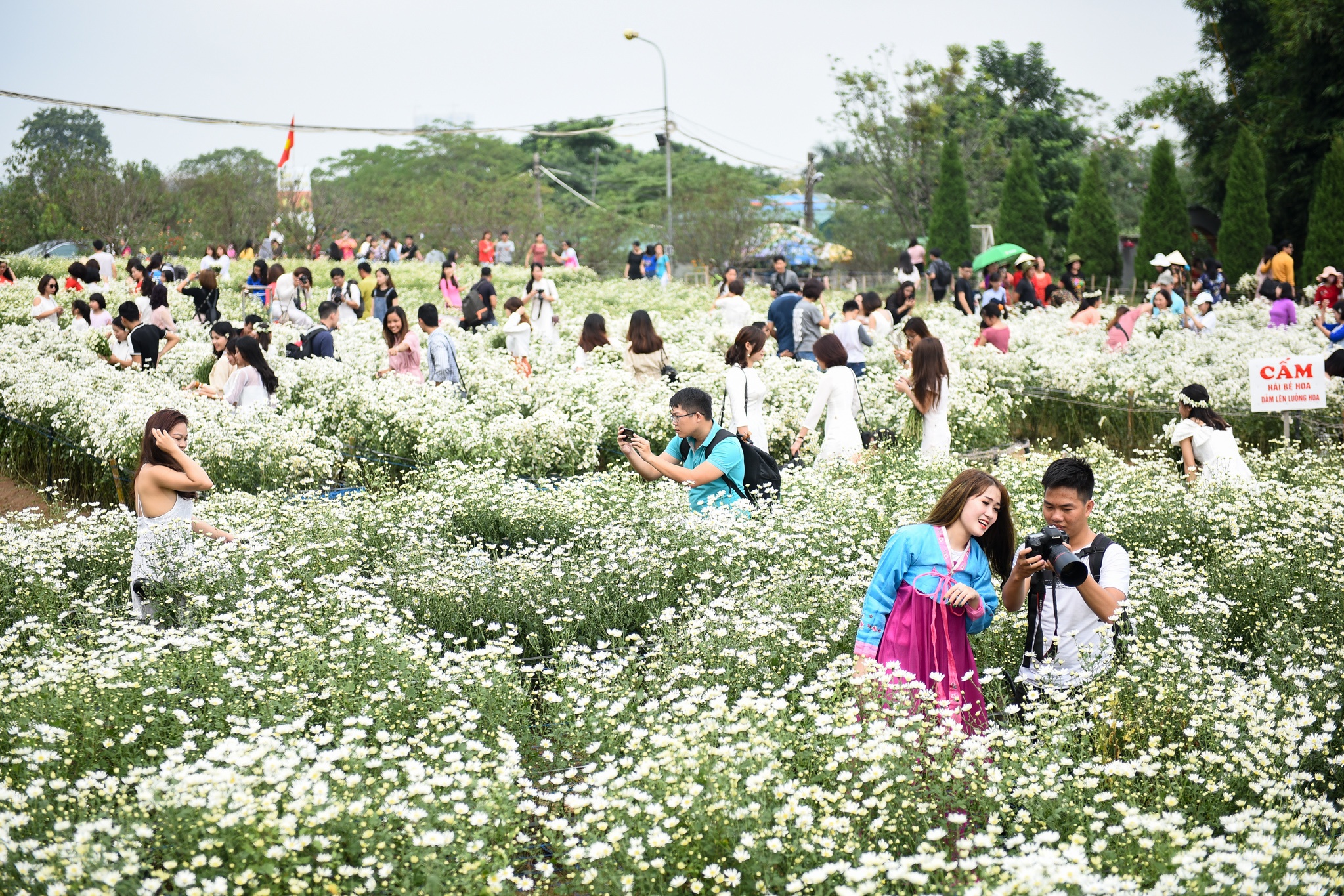 bai da song hong chat cung nguoi dan anh 2