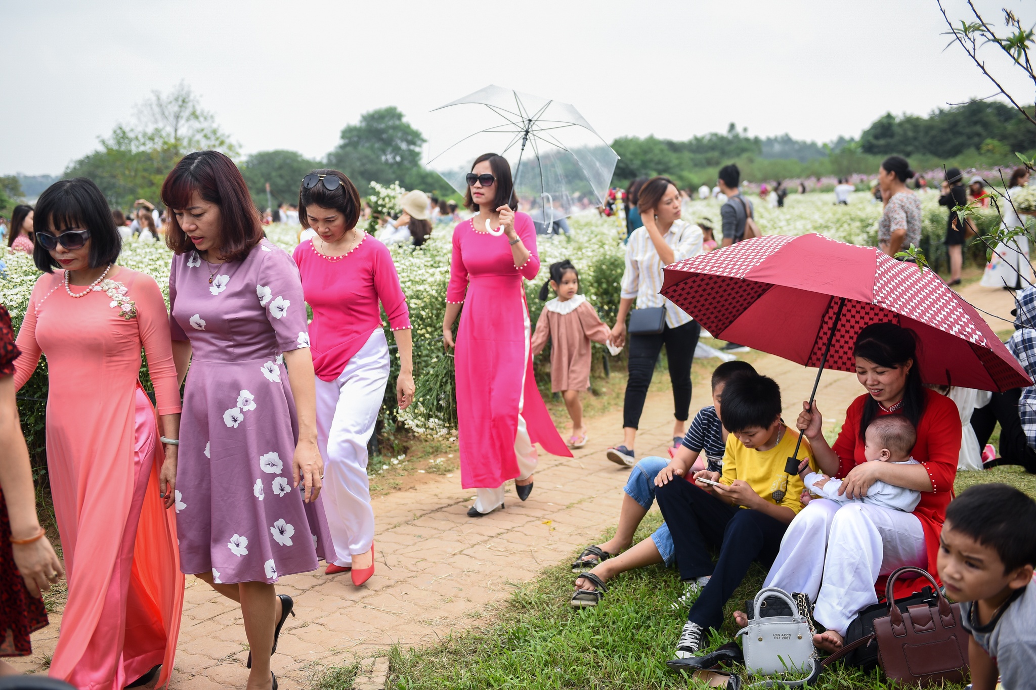 bai da song hong chat cung nguoi dan anh 3