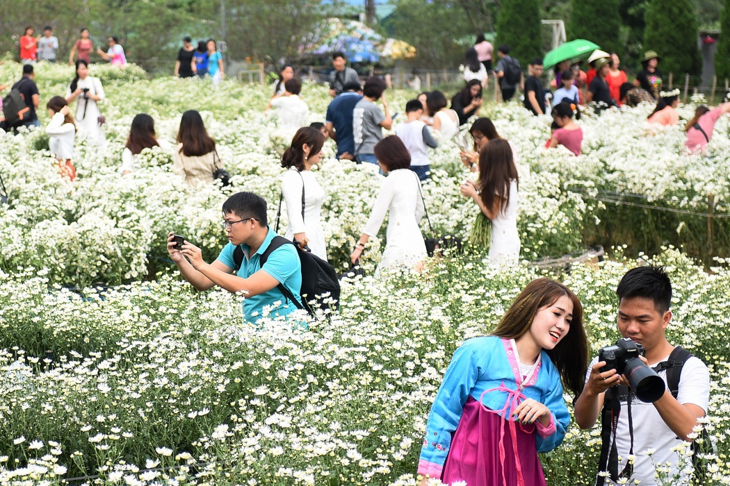 Bien nguoi lan le bo toai trong vuon cuc hoa mi ngay cuoi tuan hinh anh