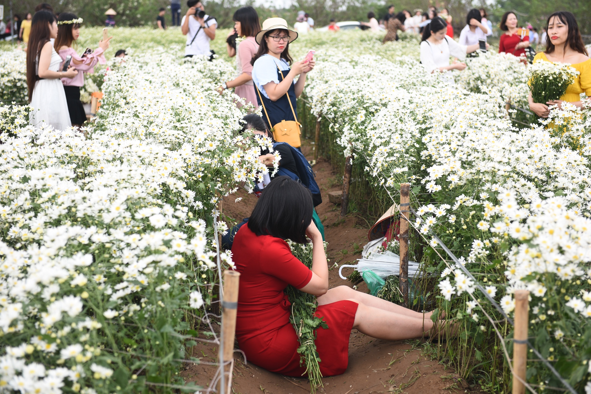 Gioi tre thi nhau tha dang ben vuon cuc hoa mi hinh anh