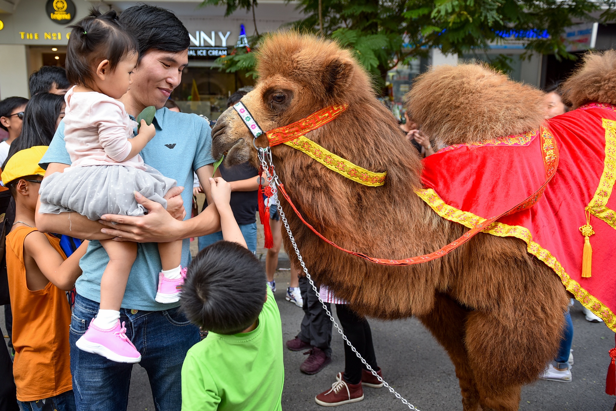 Lac da dieu hanh tren pho di bo anh 4