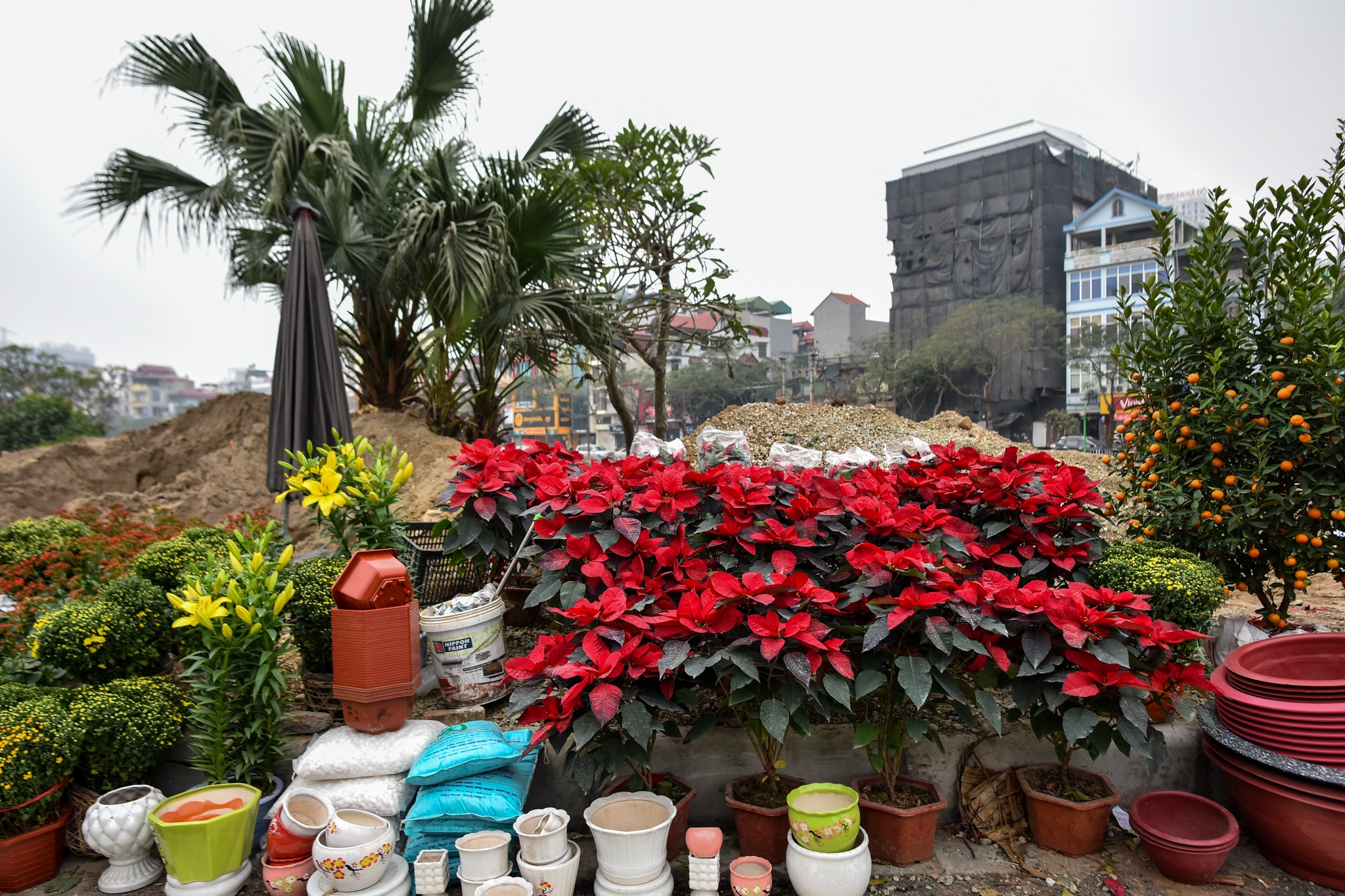 duong Lang ngon ngang nhung ngay sat Tet anh 10