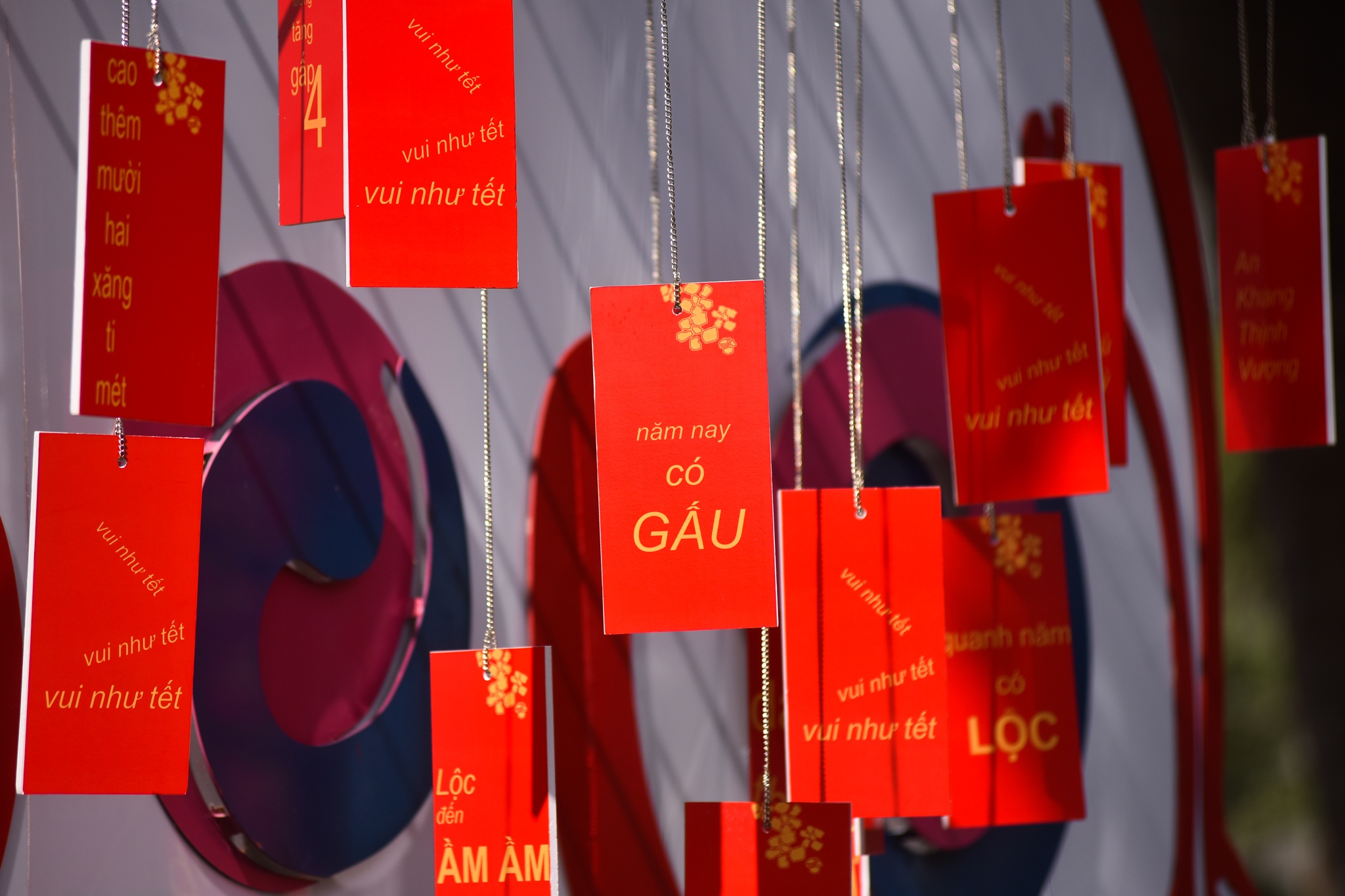 Duong pho Ha Noi anh 7