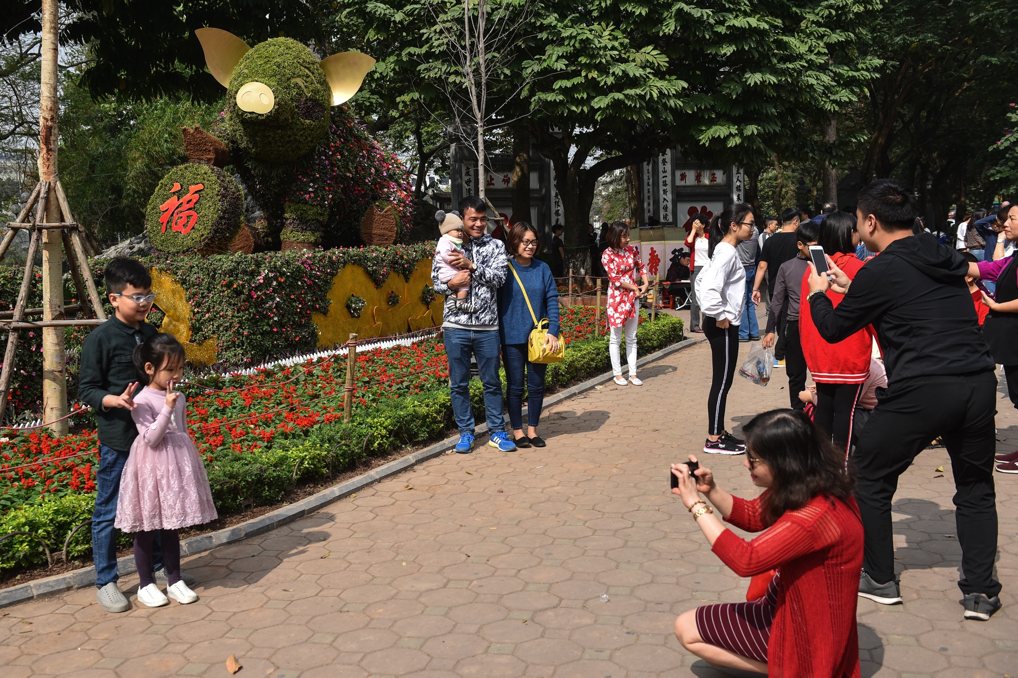 Duong pho Ha Noi anh 8