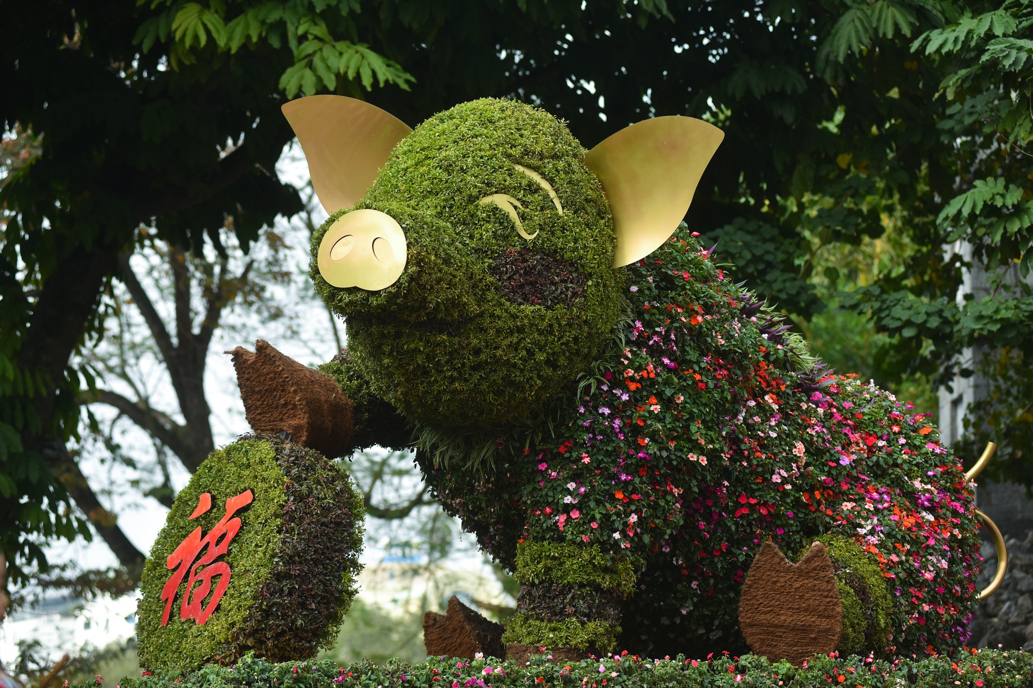 Duong pho Ha Noi anh 9