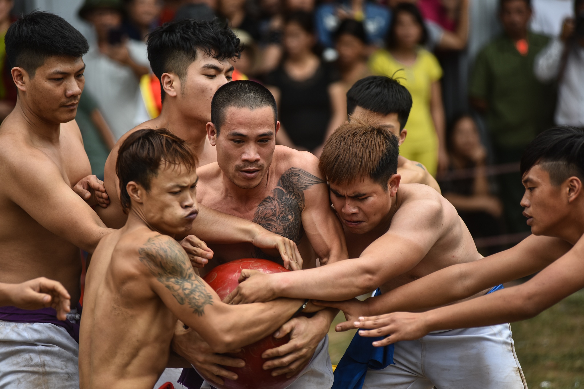 Trai trang vat lon, tranh cuop qua cau son hinh anh