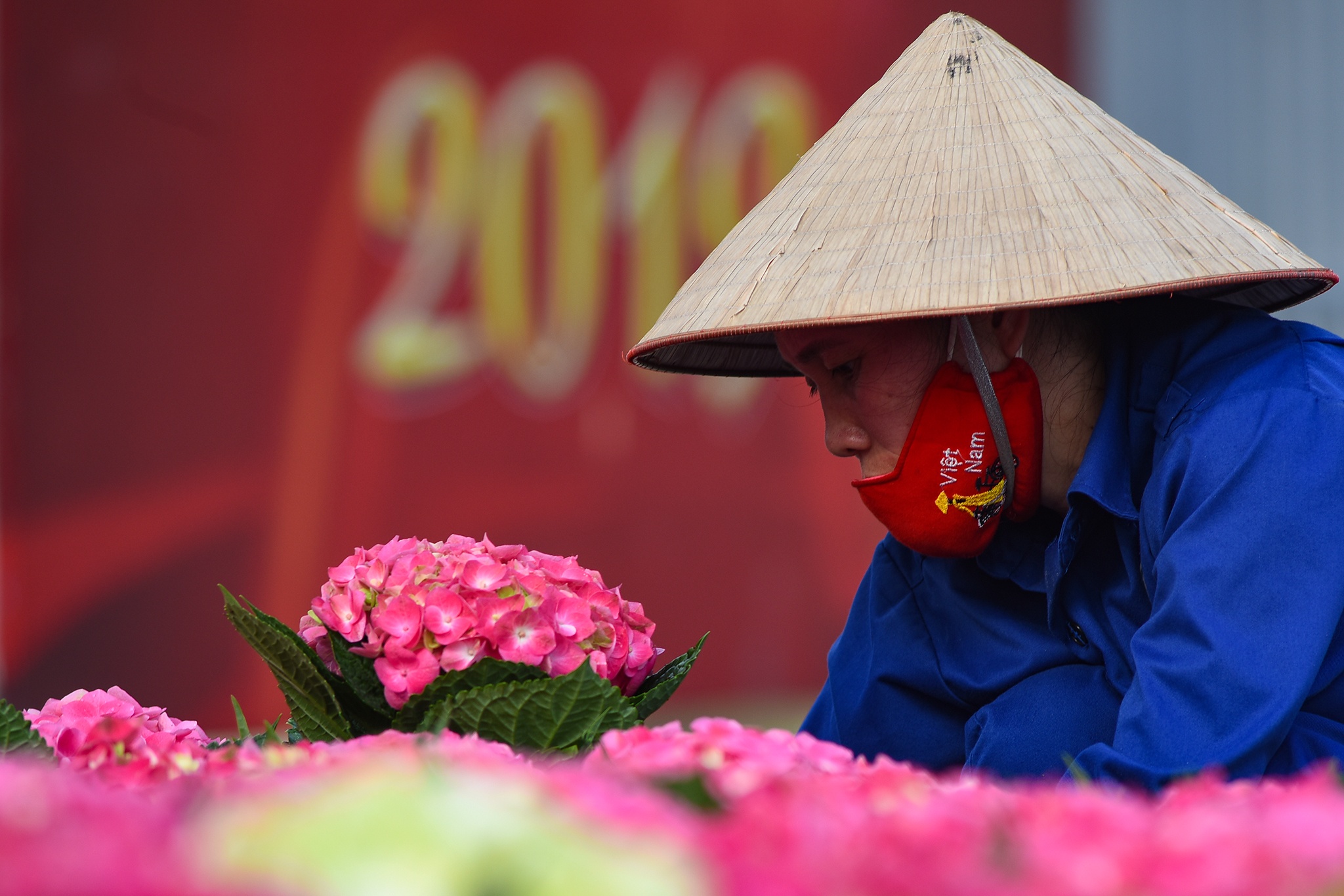 Hà Nội trang hoàng đường phố ảnh 6 Ha Noi trang hoang duong pho anh 6