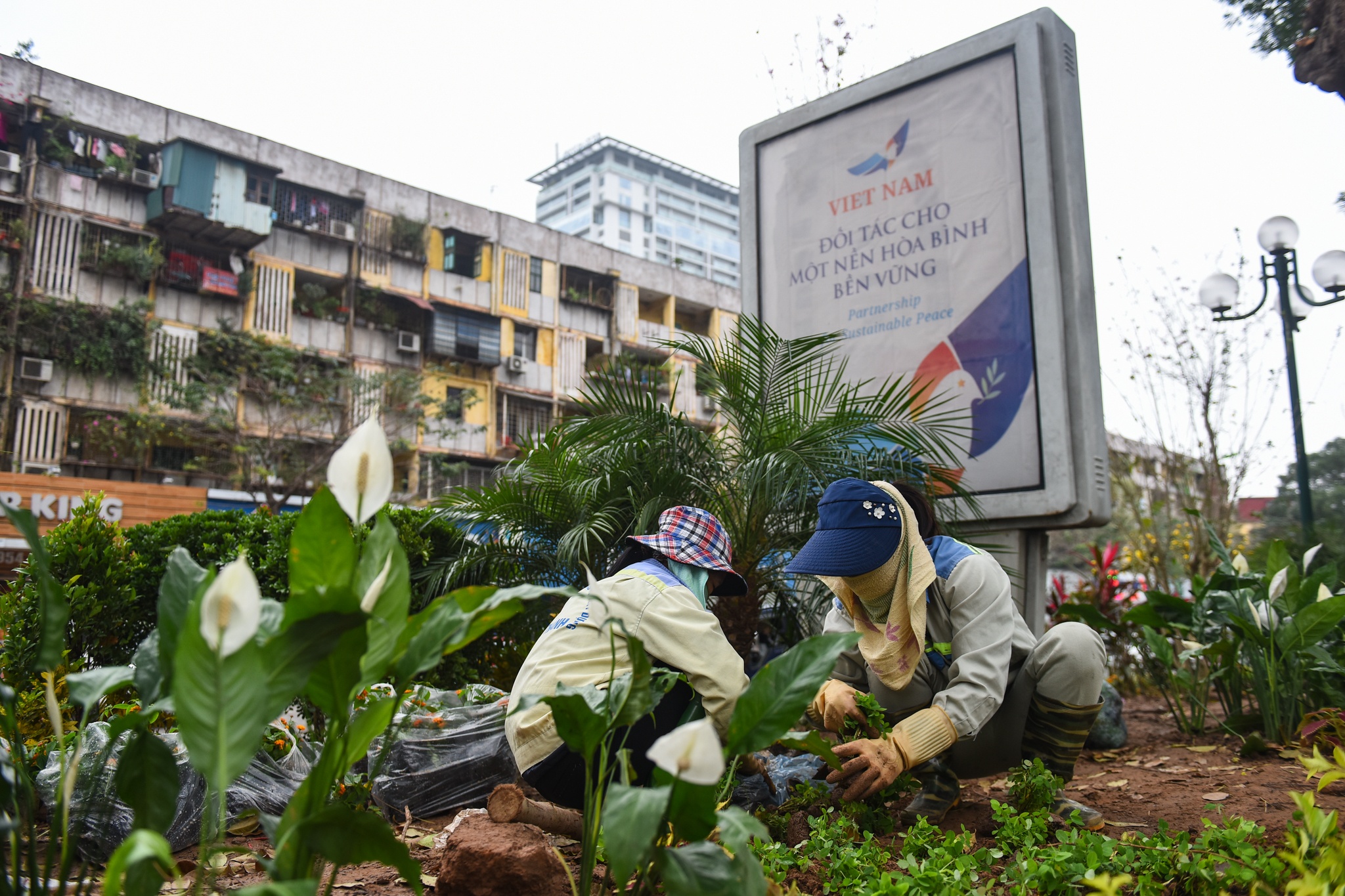 Hà Nội trang hoàng đường phố ảnh 7 Ha Noi trang hoang duong pho anh 7