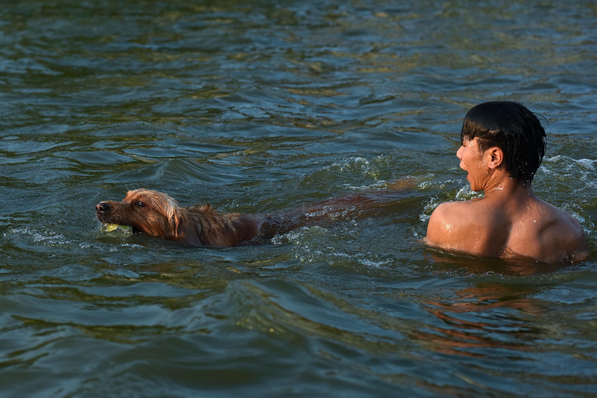 Bai tam ho Tay anh 8