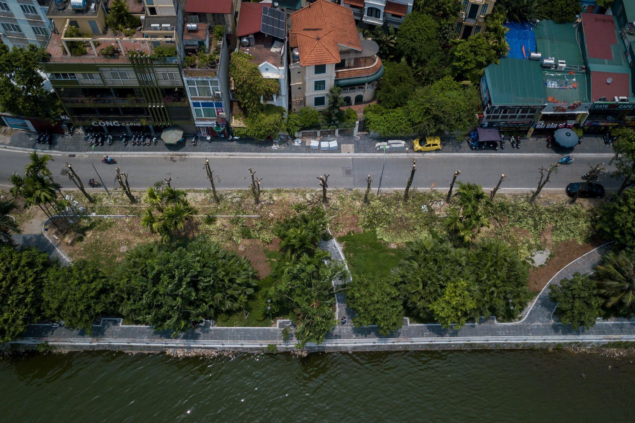 doi hoa sua ho Tay anh 1