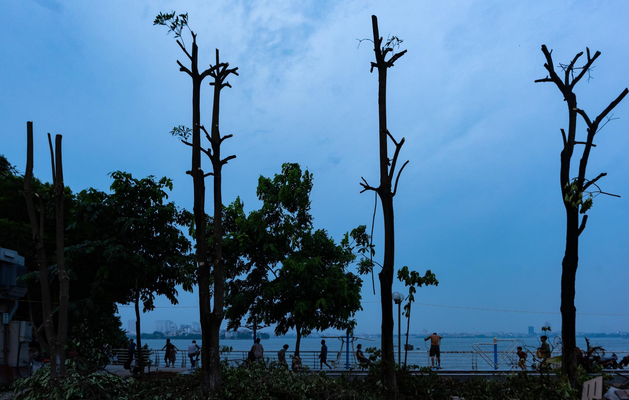 doi hoa sua ho Tay anh 2