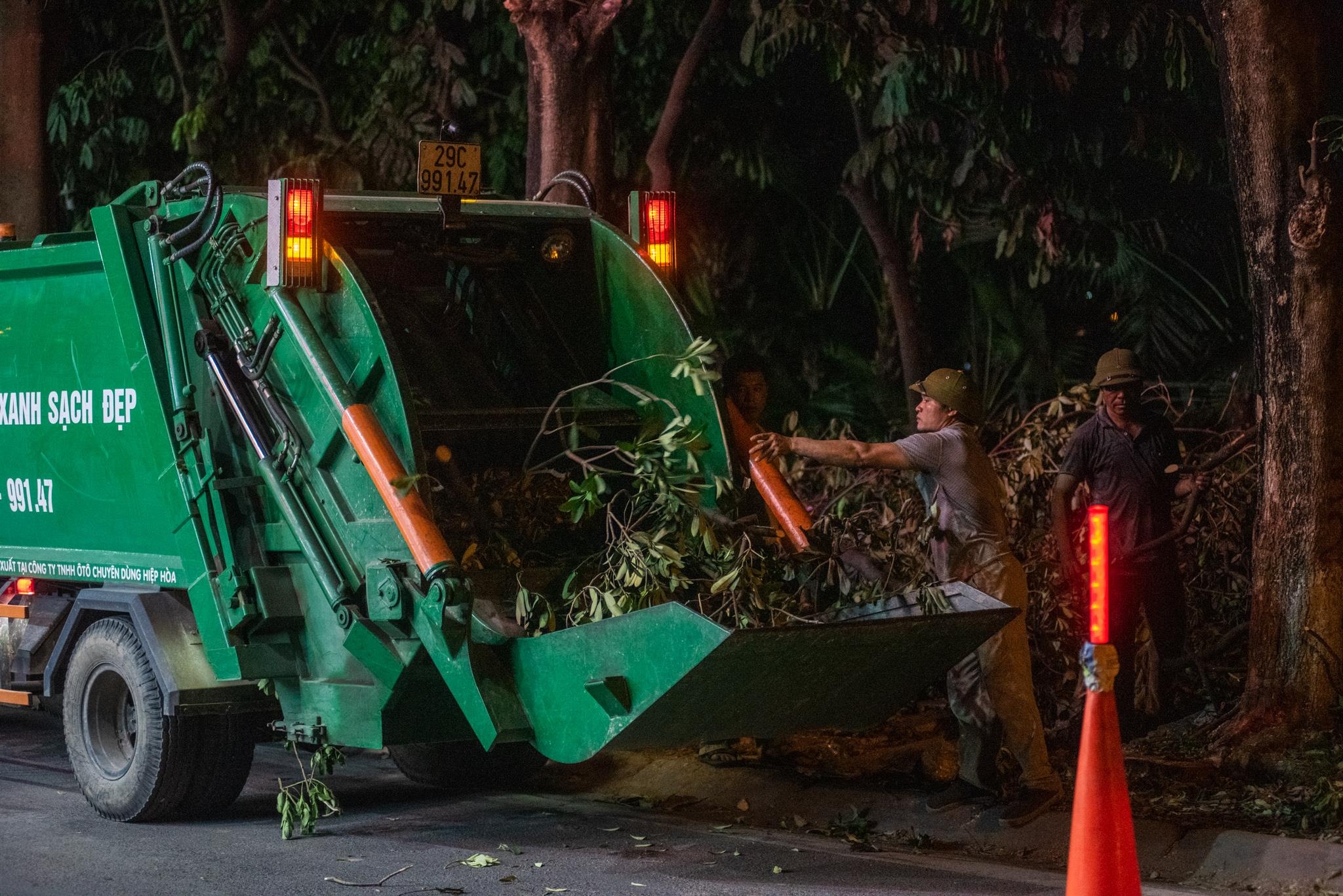 doi hoa sua ho Tay anh 7