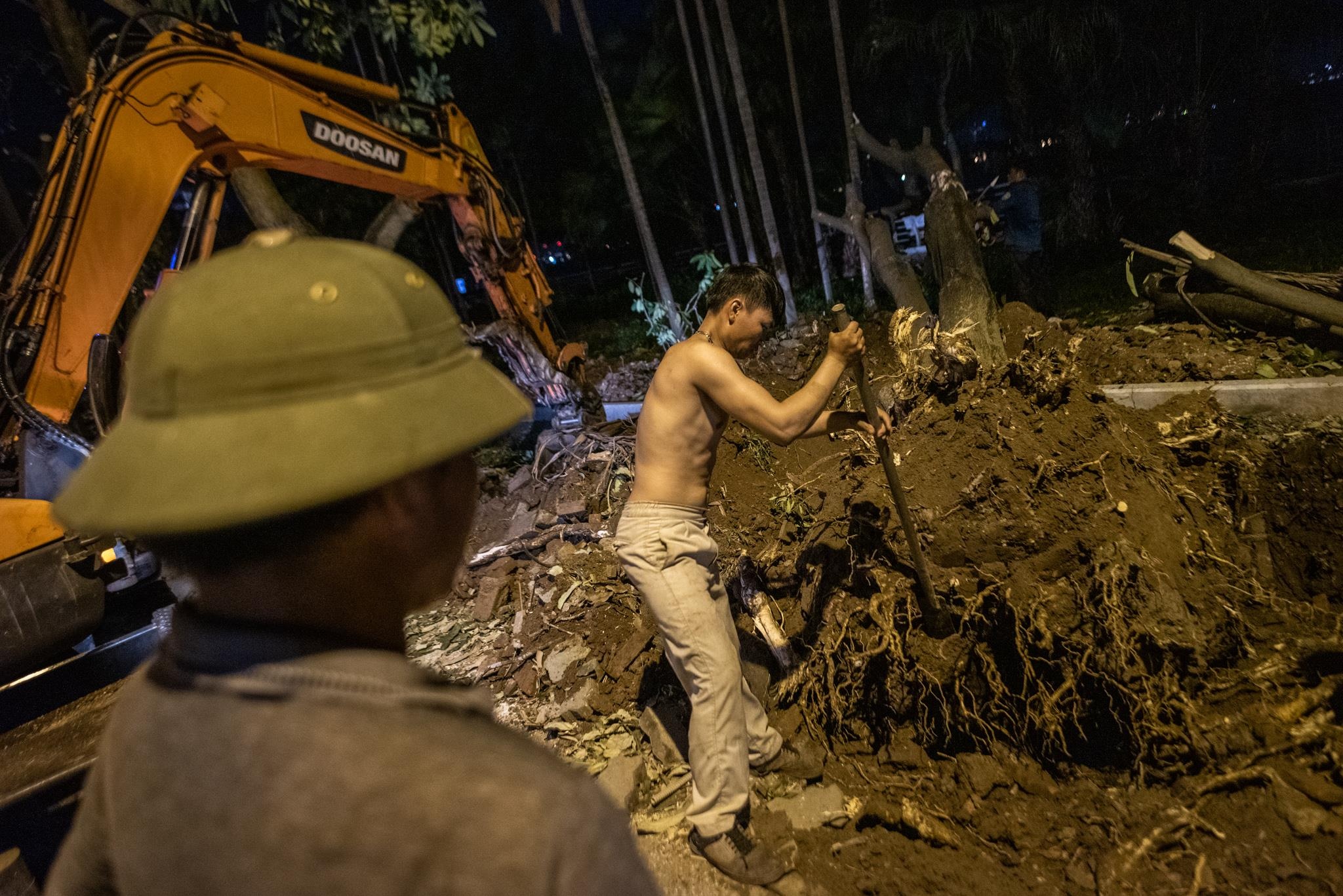 doi hoa sua ho Tay anh 9