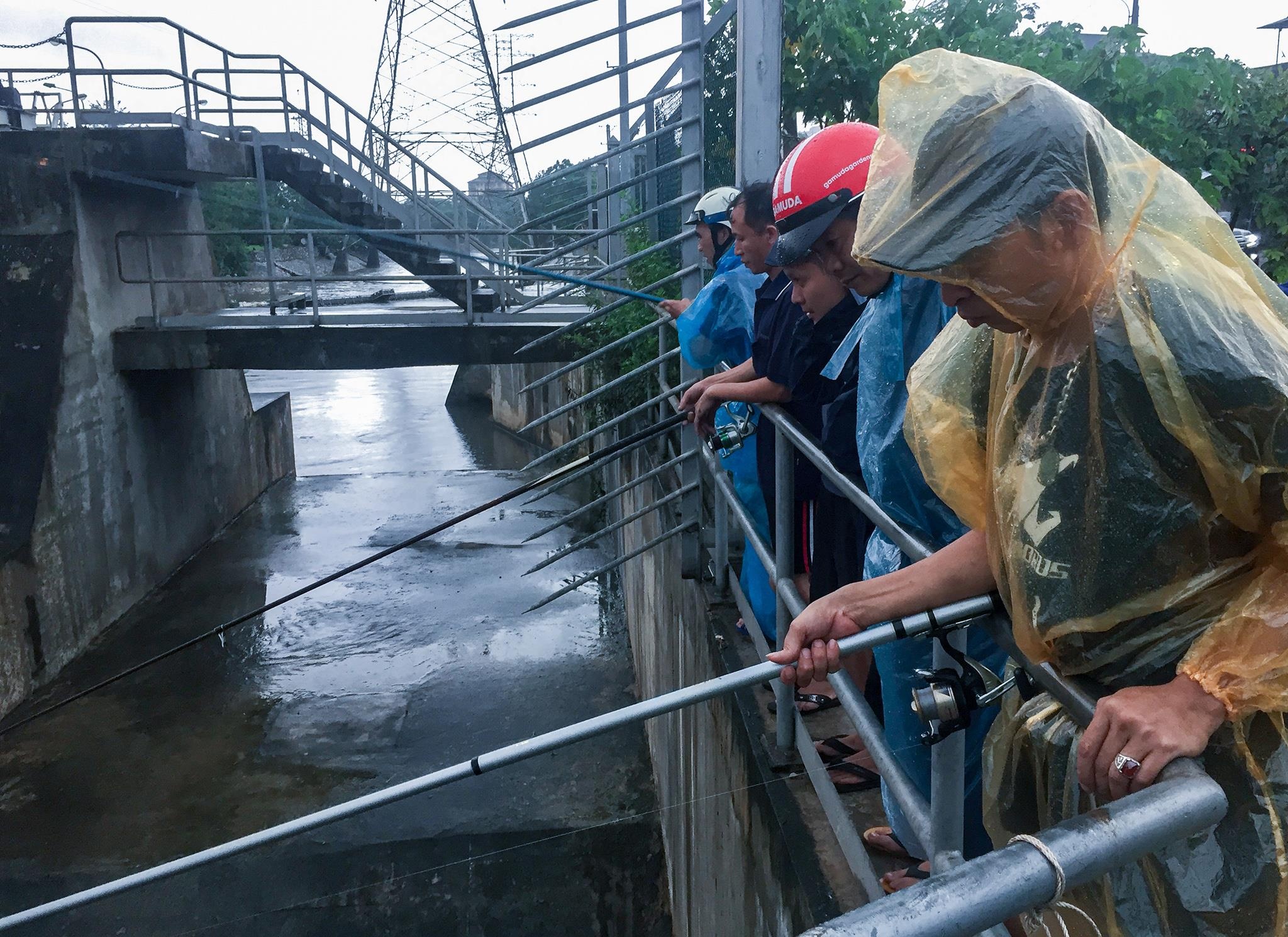 Do xo ra song bat ca anh 10