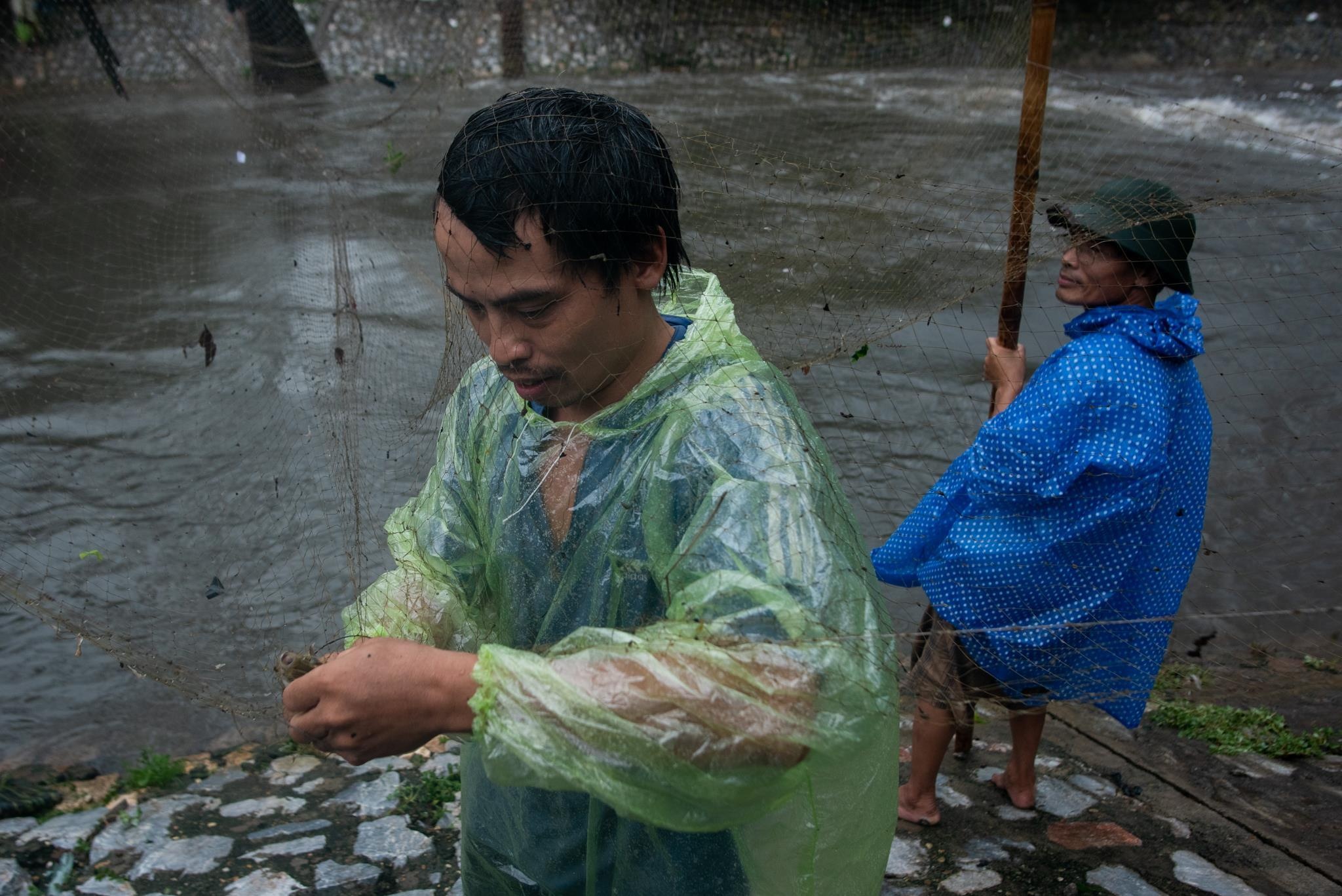 Do xo ra song bat ca anh 2