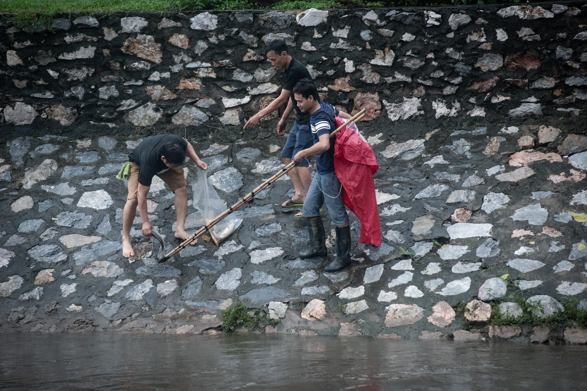 Do xo ra song bat ca anh 7