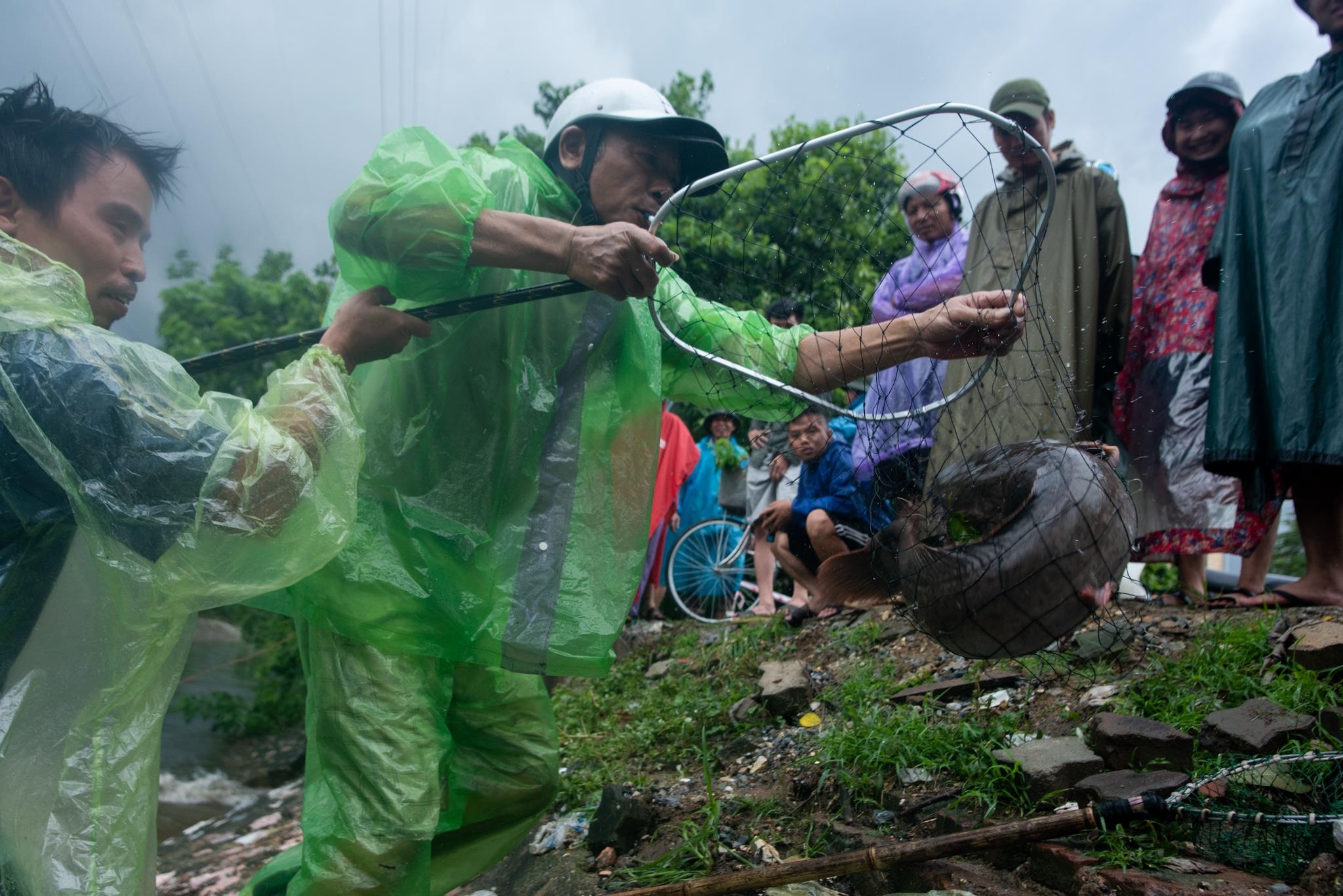 Do xo ra song bat ca anh 8