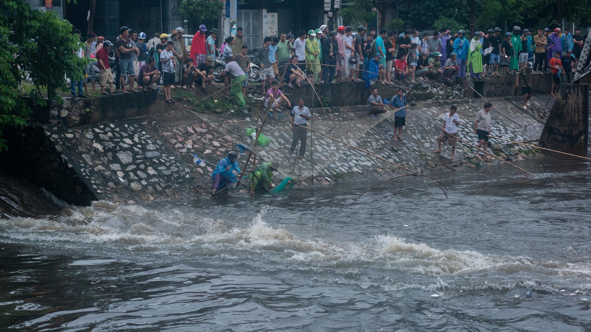 Nguoi dan doi mua xem bat ca giua thu do hinh anh