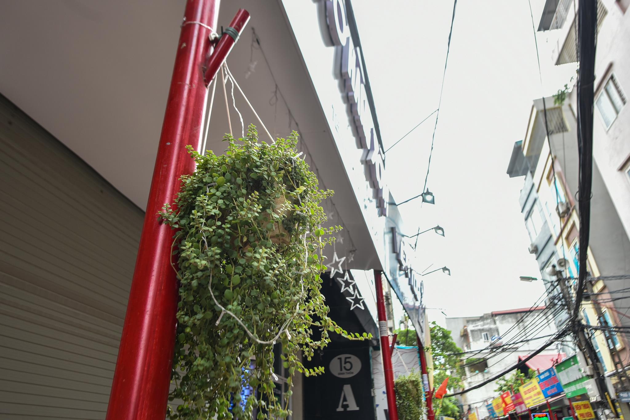 Tuyen duong van minh do thi Dinh Thon anh 8